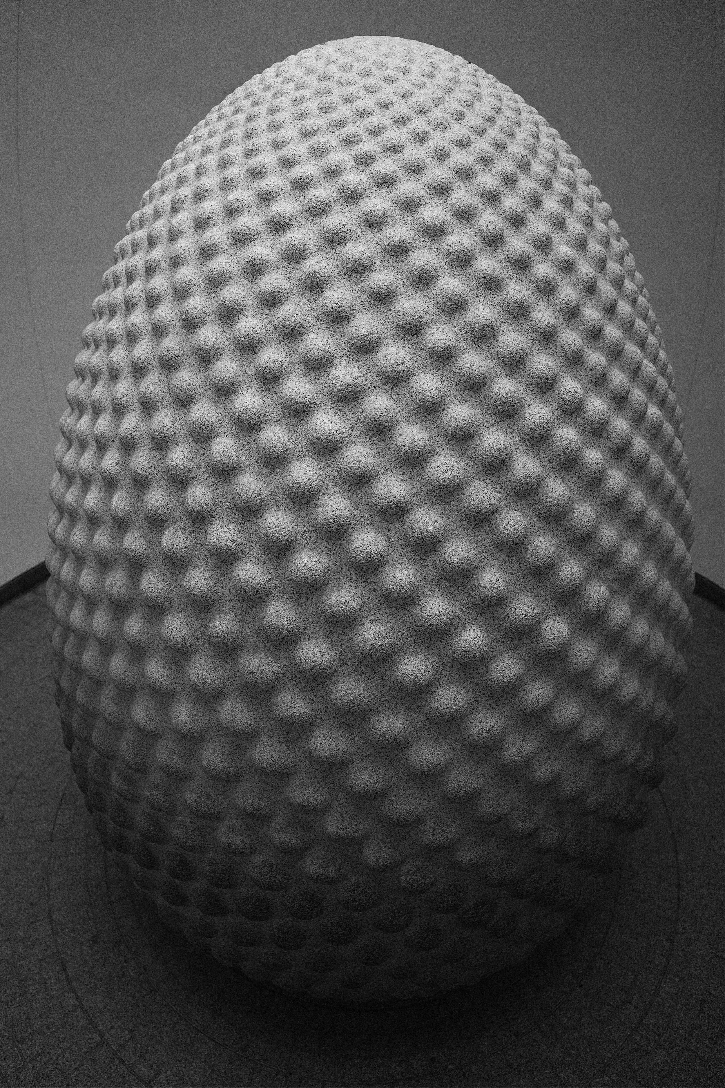 Seed - Eden Project - March 2026.jpg