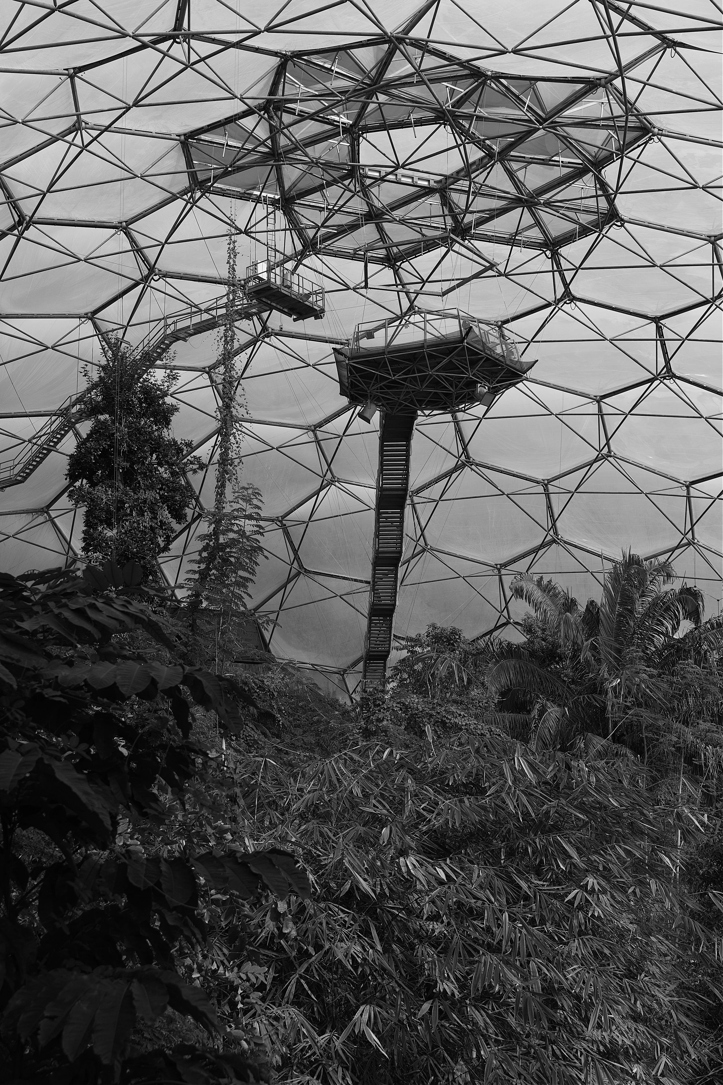 Crowsnest -  Eden Project 2 - March 2026.jpg