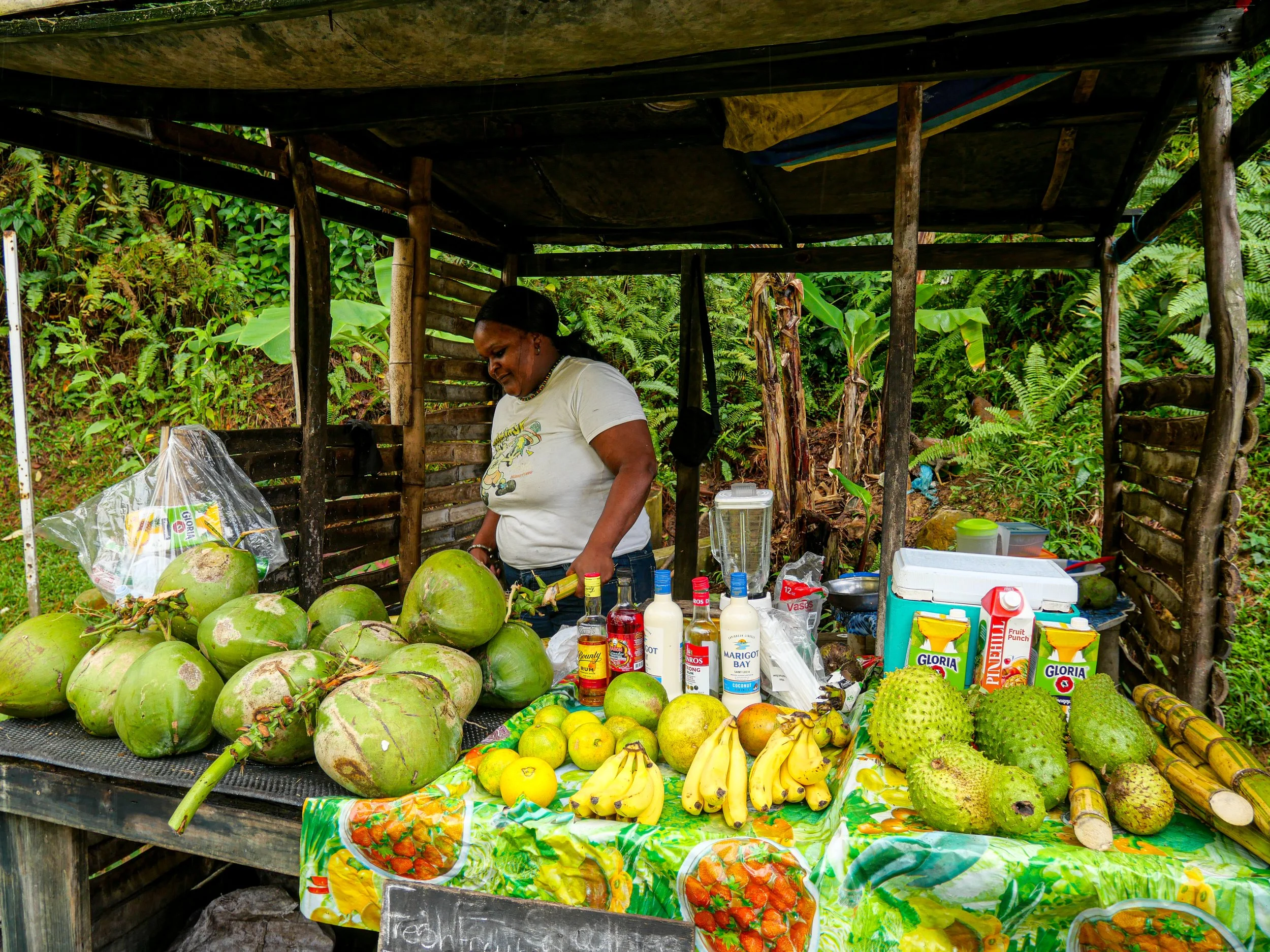 P1140584.jpg