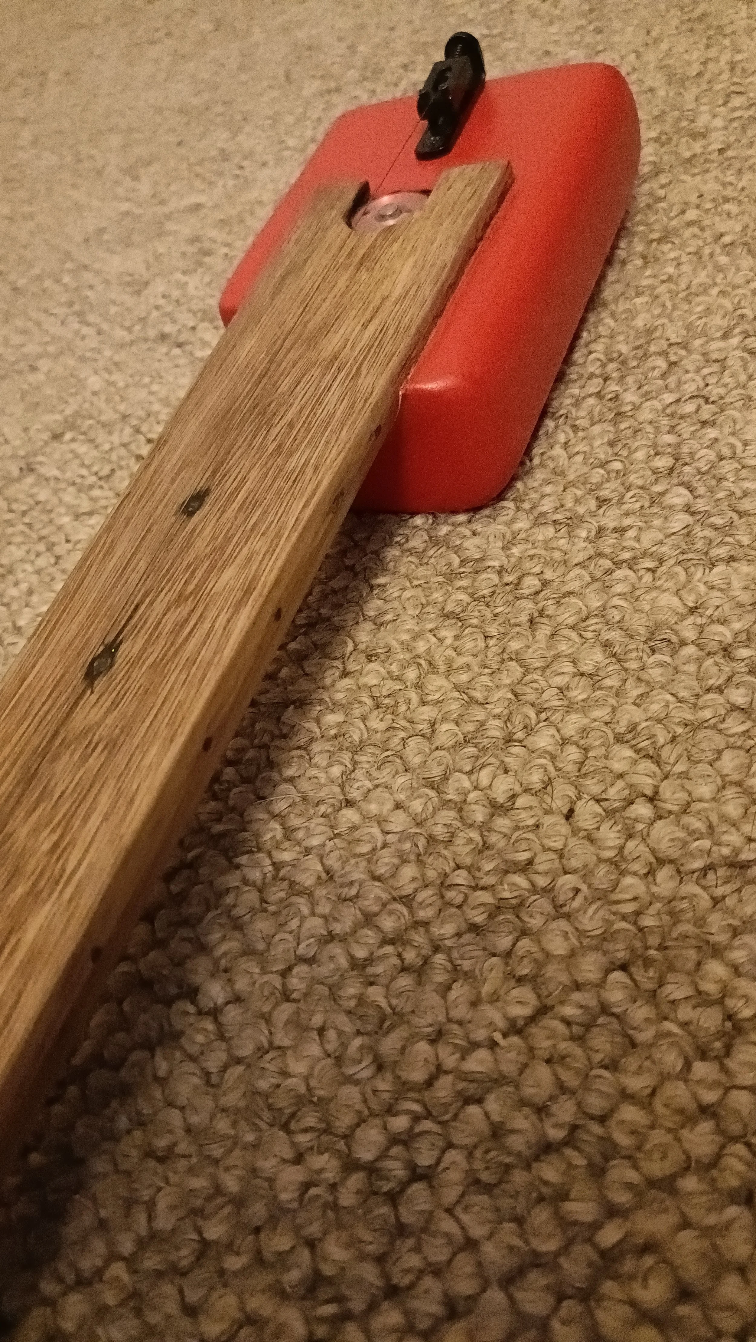 Devil Stick 401 (2).jpg