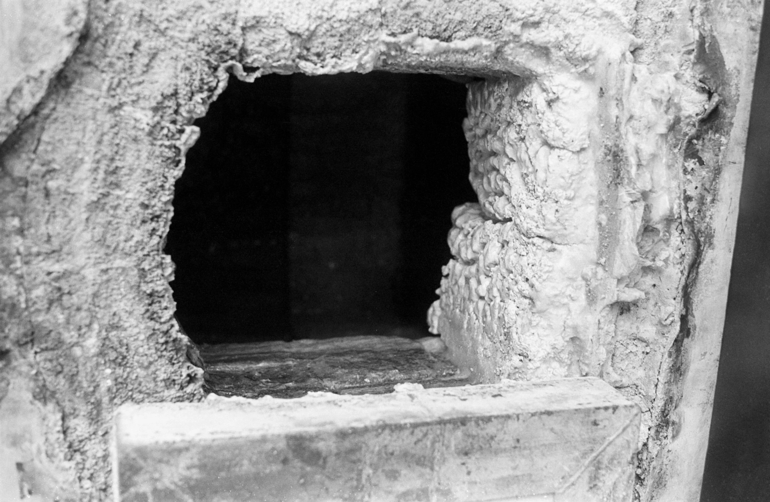 20240425-Image (3).JPG