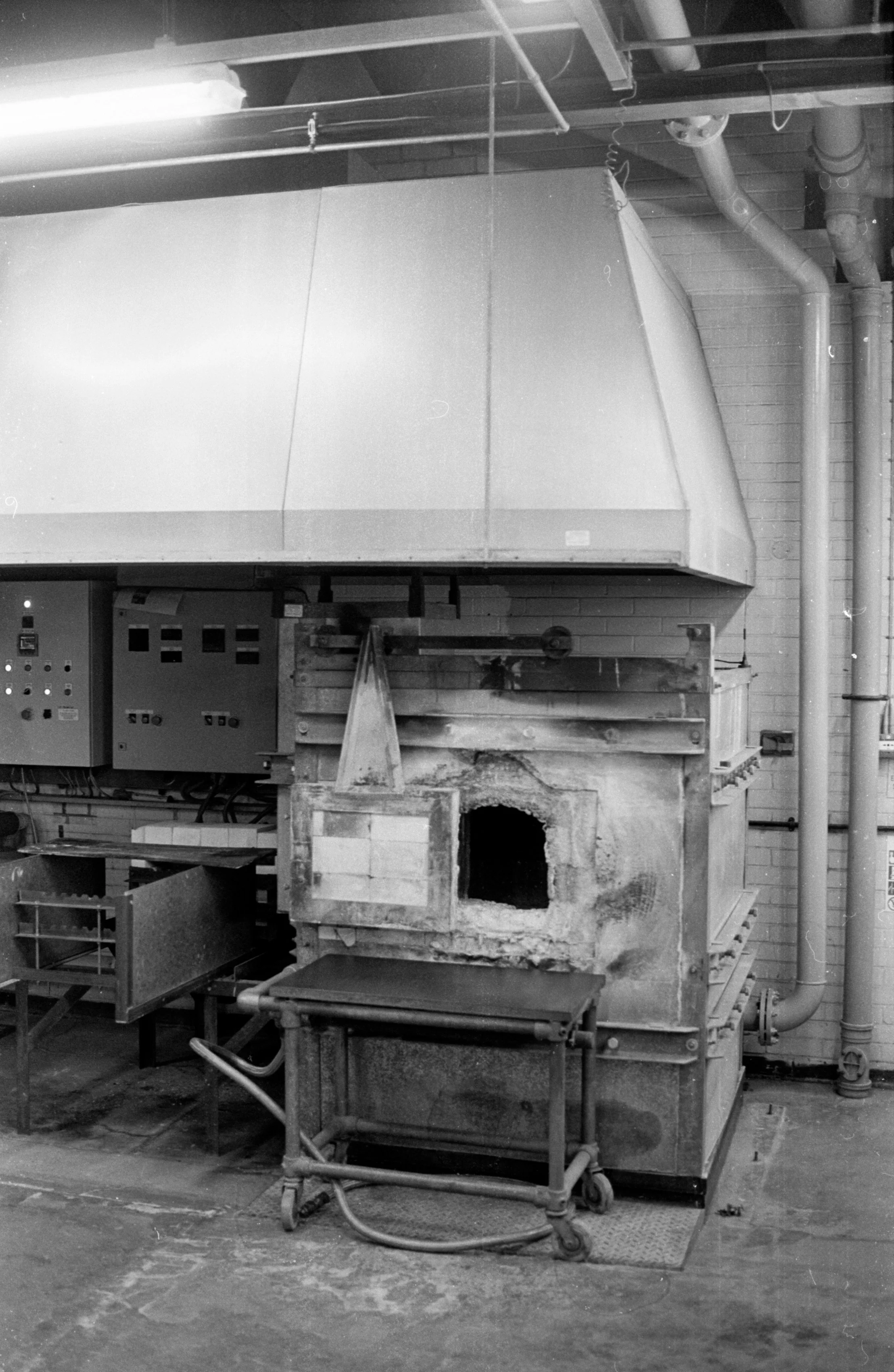 20240425-Image (9).JPG