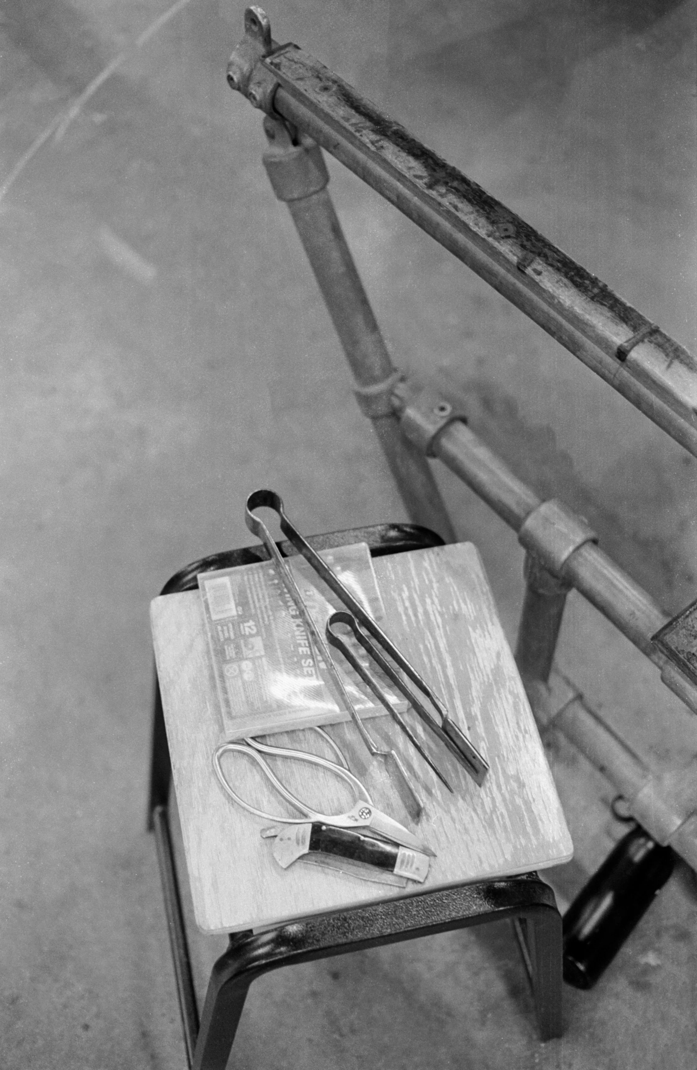 20240425-Image (11).JPG