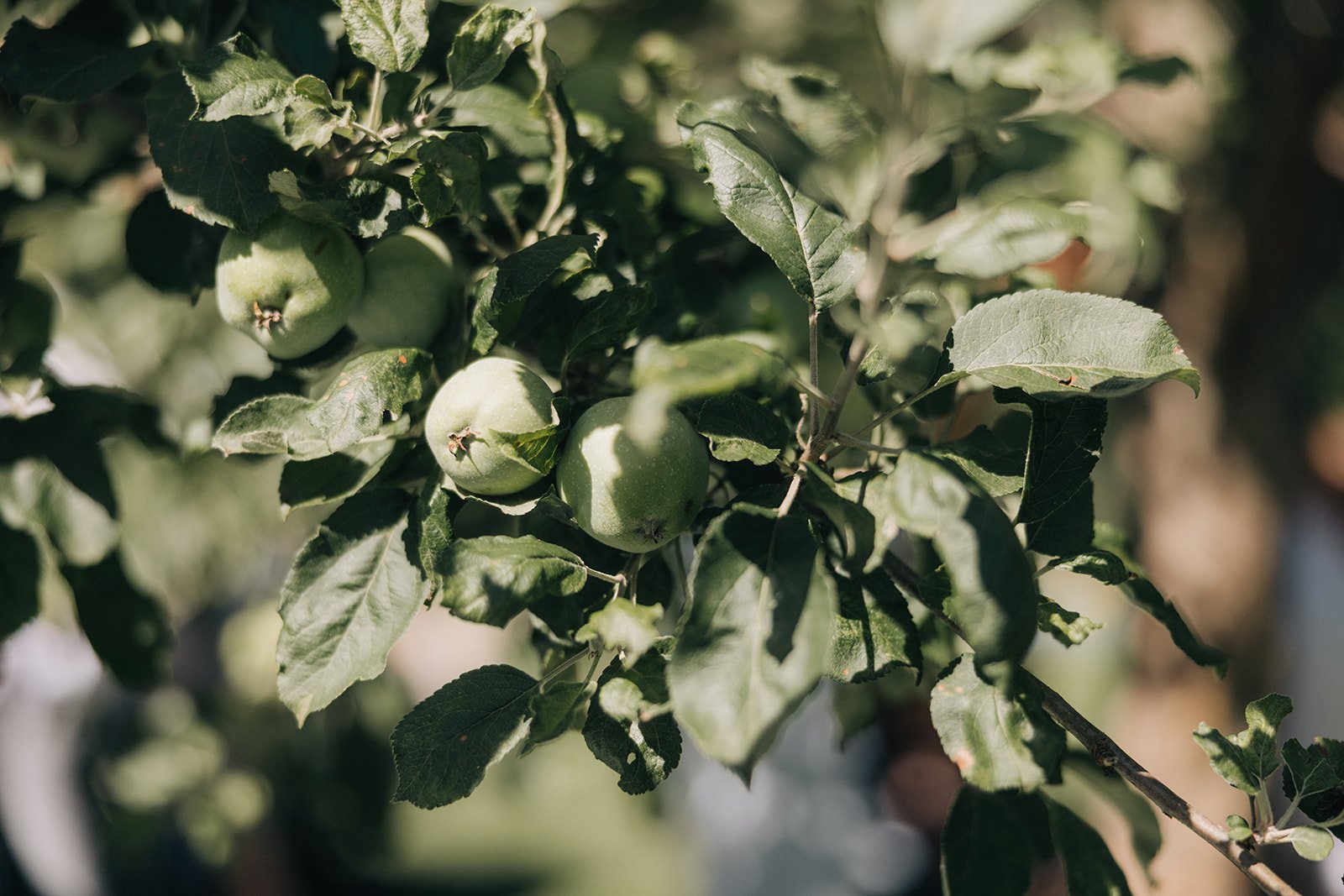 Jan und Sybil 411.jpg