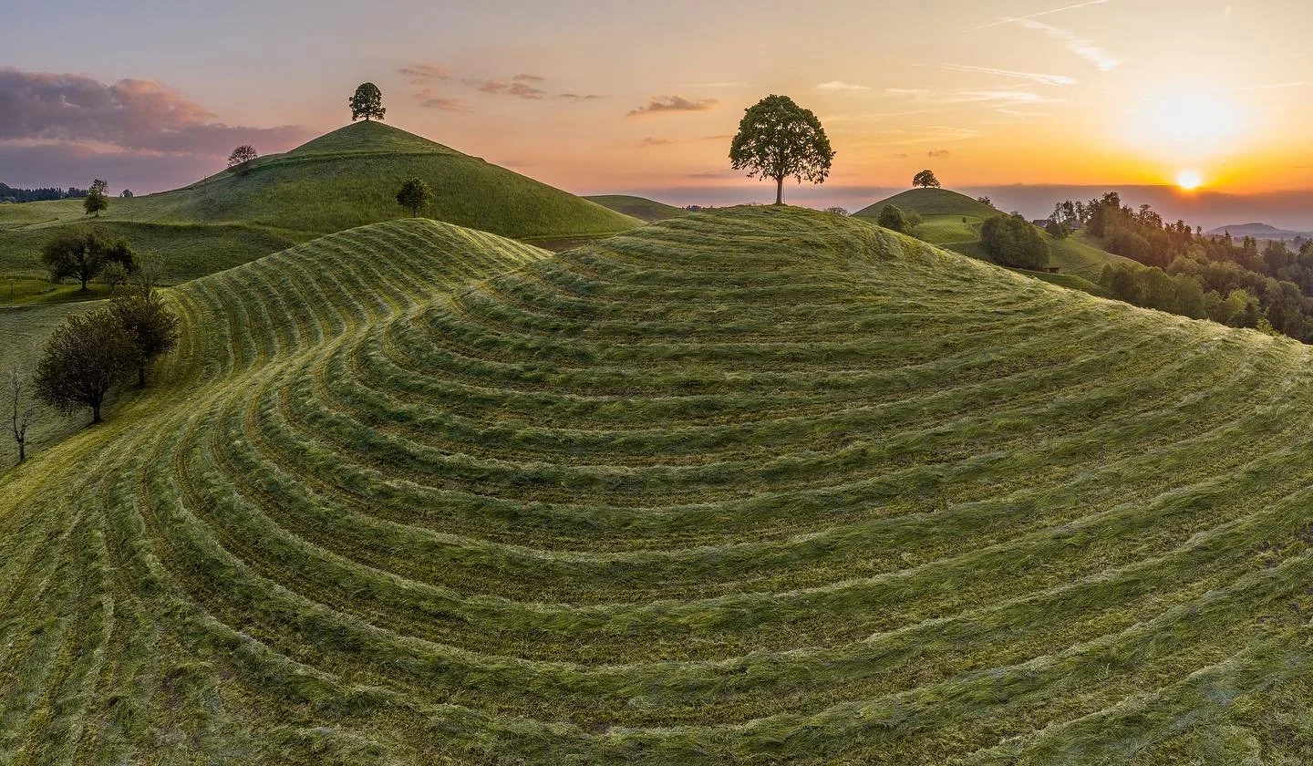 Drumlins by sunset&hellip;😍
.
.
. #inLOVEwithSWITZERLAND#amazingswitzerland #verliebtindieschweiz #naturelovers #natureaddicts #unlimitedswitzerland #switzerlandcolors #earthpix #places_wow #instatravelling #super_switzerland #blickheimat #thebeauti