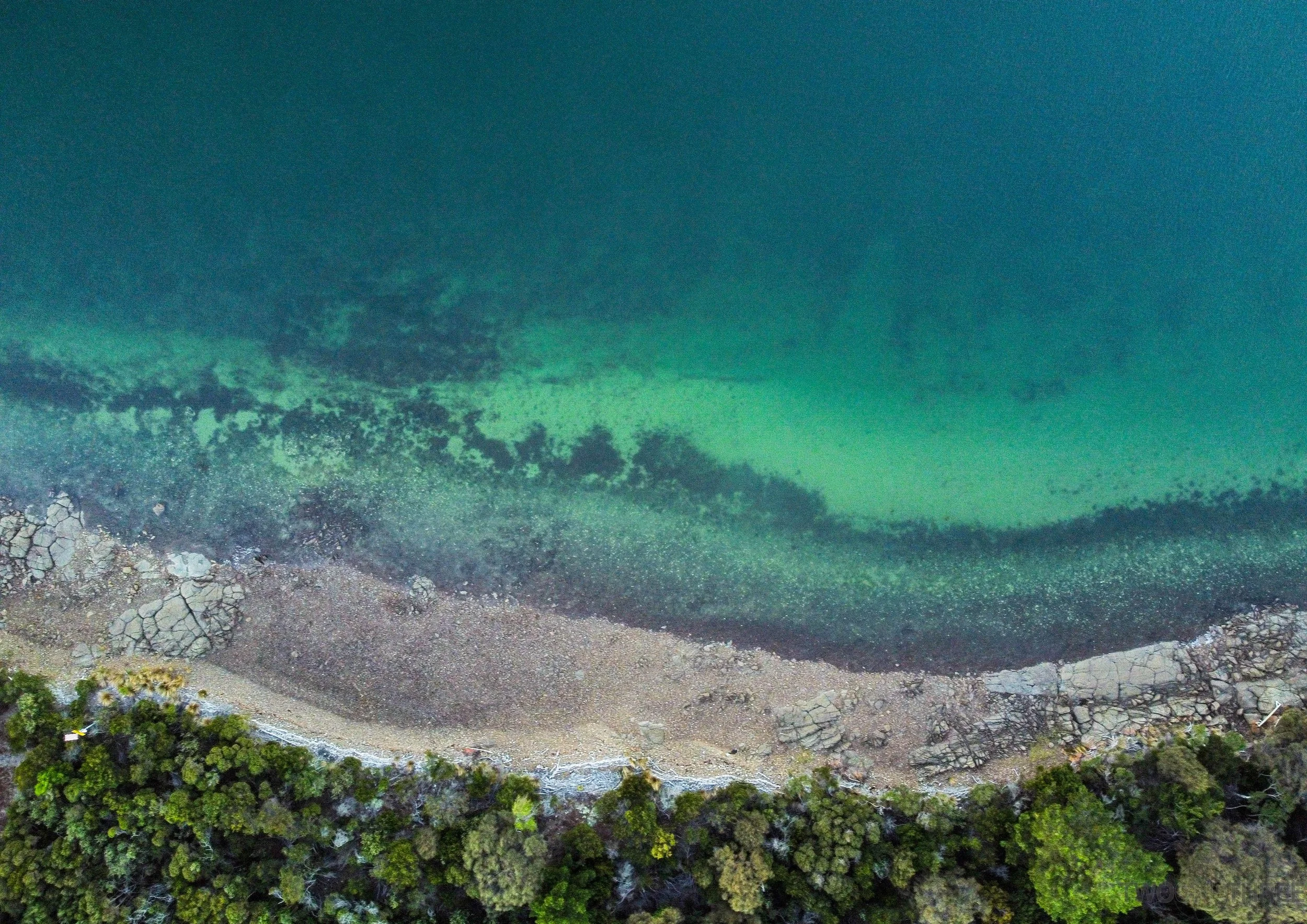 BEAUTY POINT 6