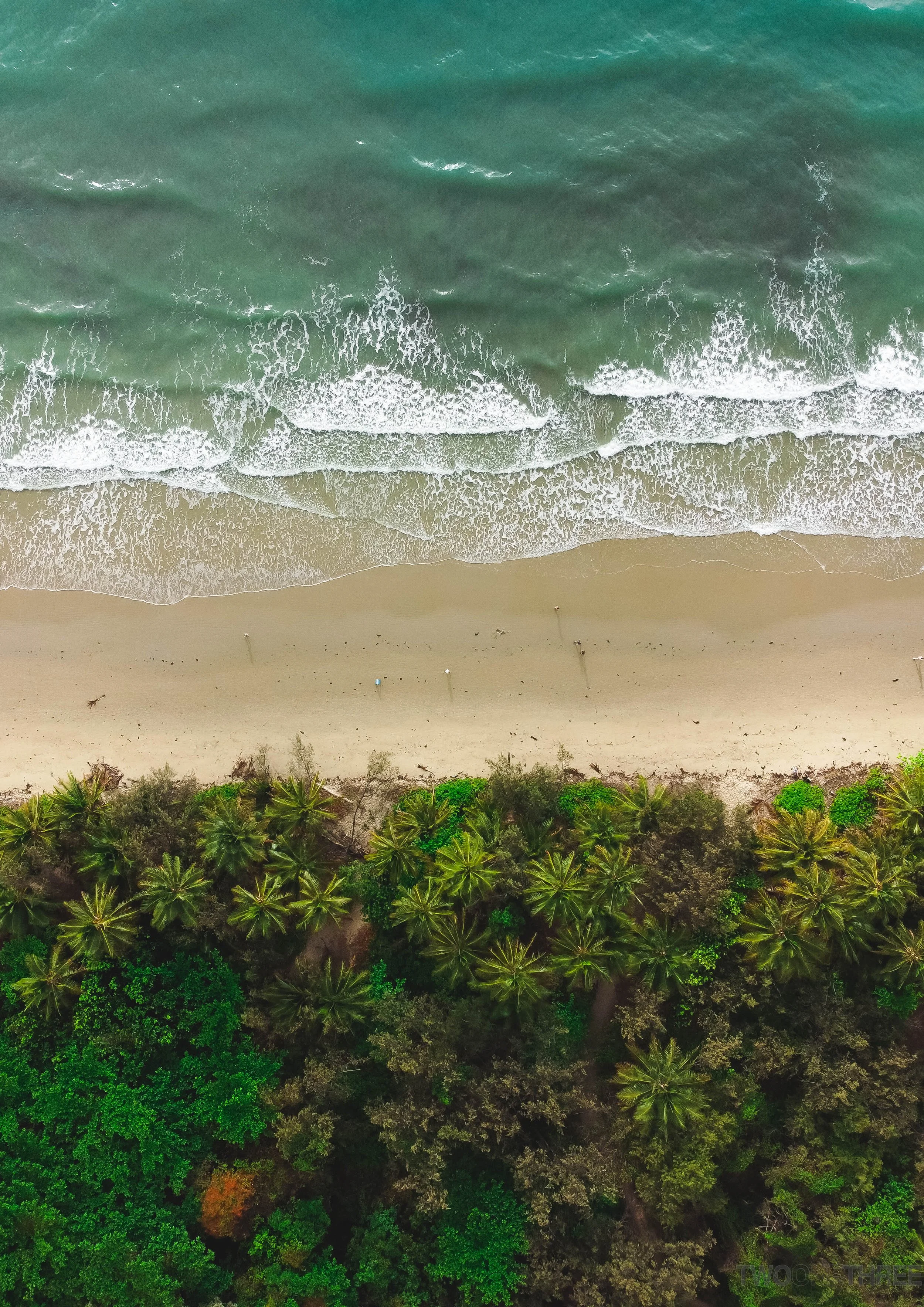 PORT DOUGLAS 4