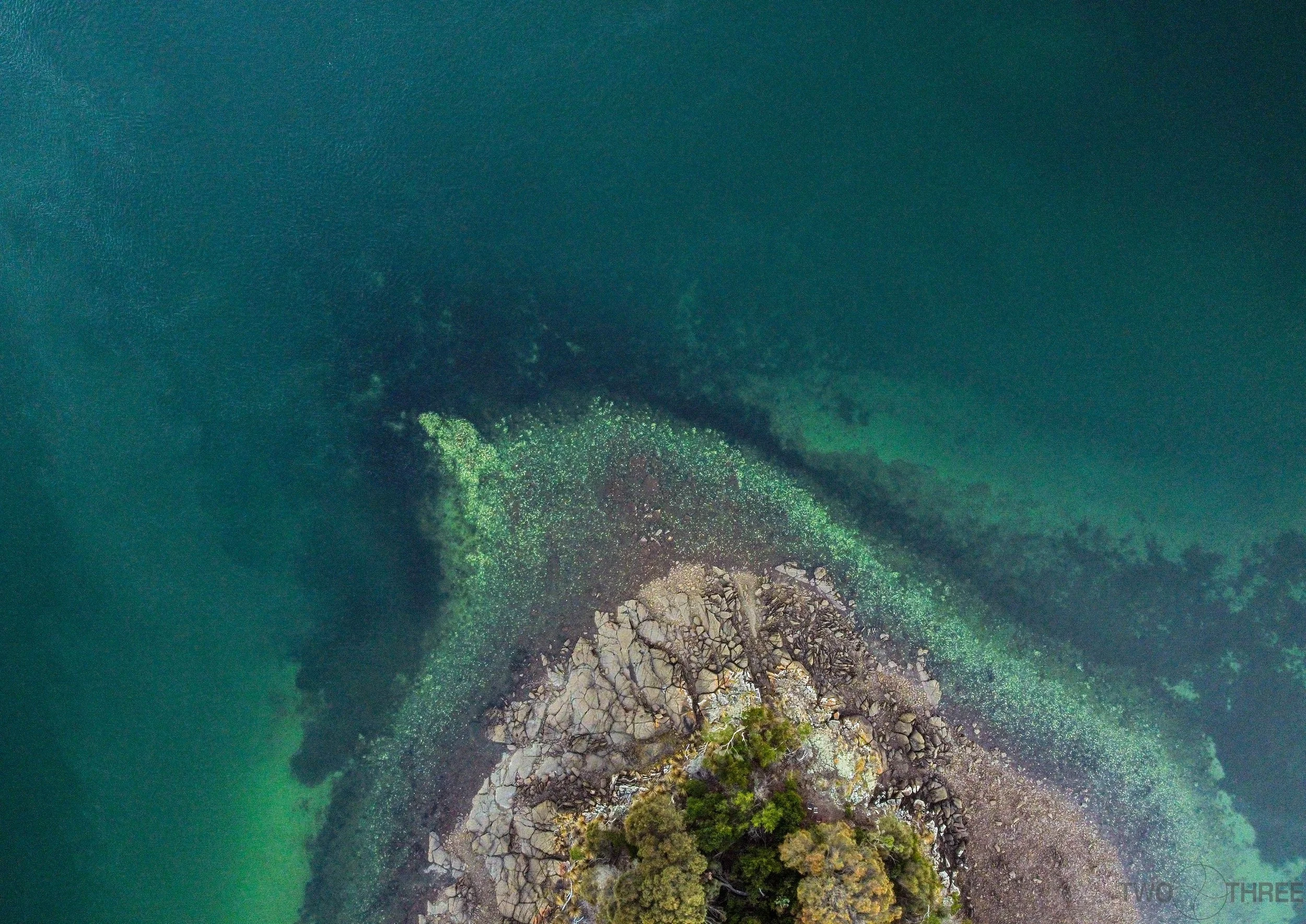 BEAUTY POINT 8