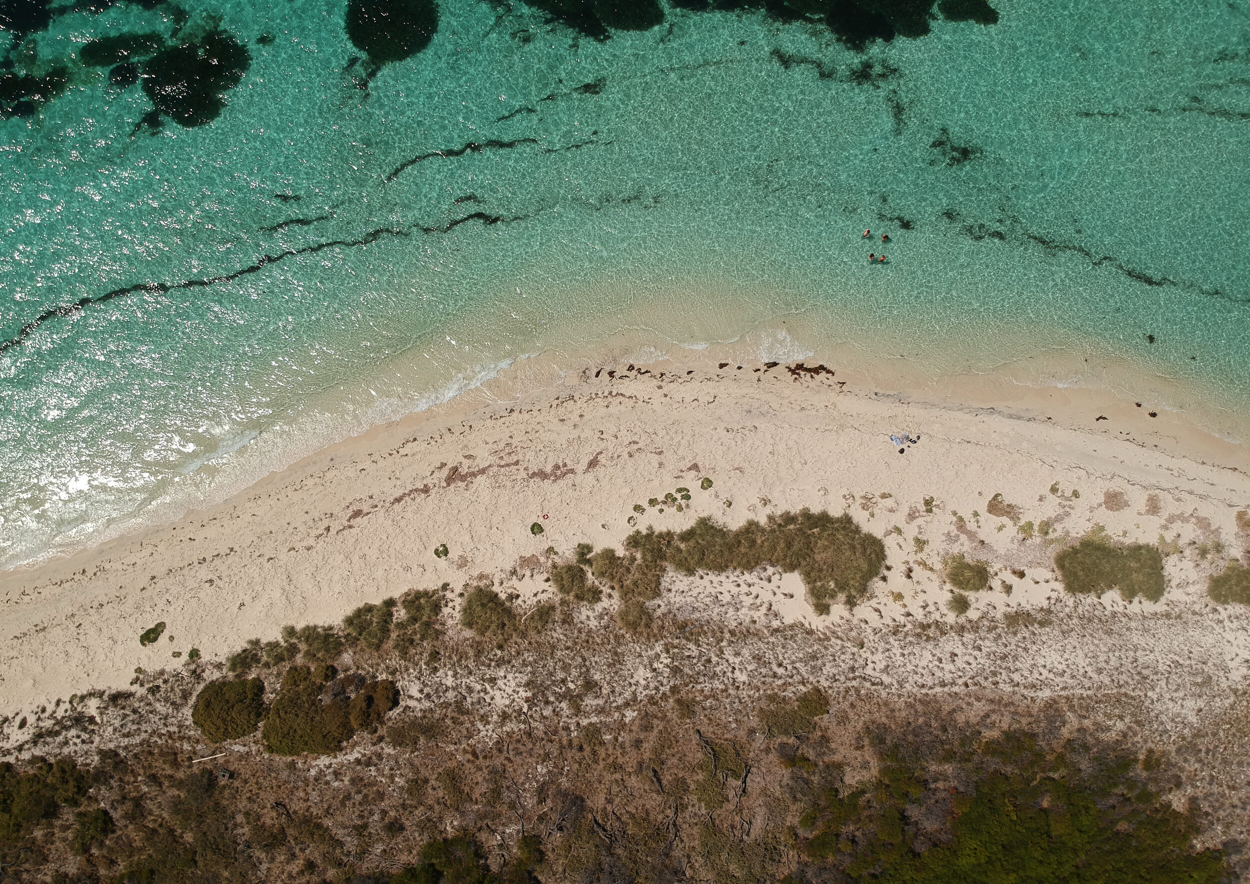 ROTTNEST 1