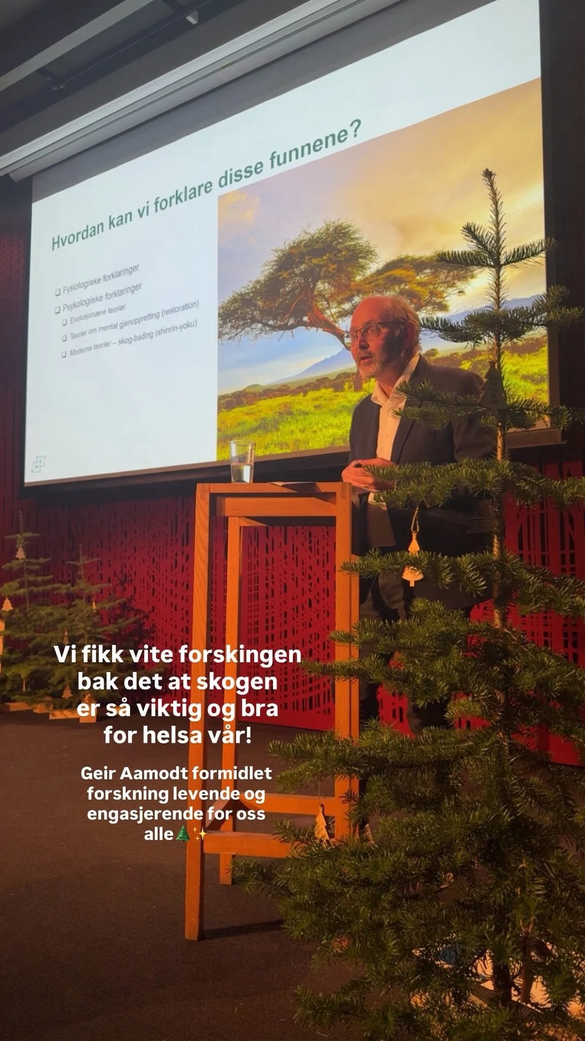 Geir Aamot.jpg