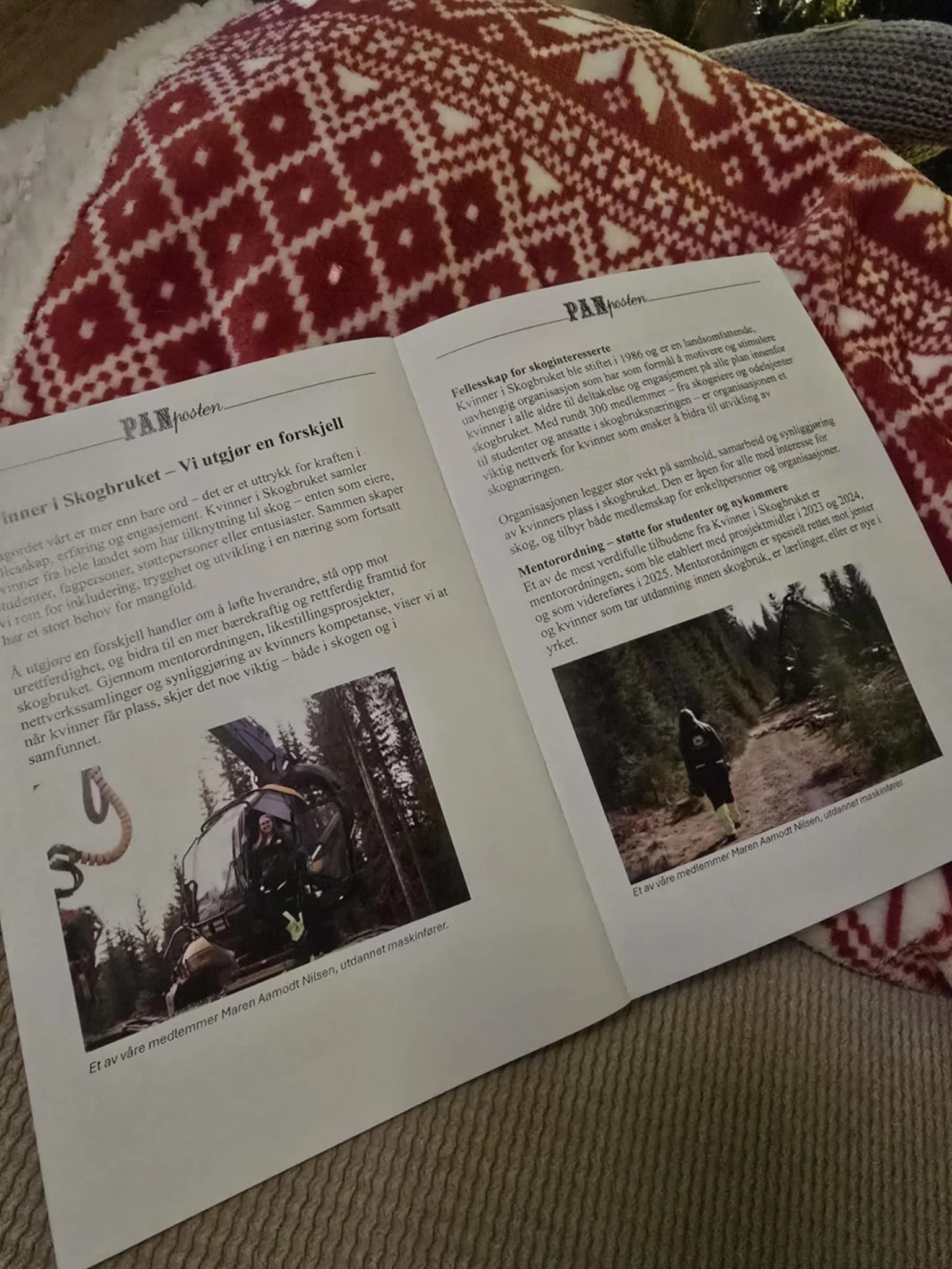 Videreføring av Mentor og hjelpelinje prosjektet 