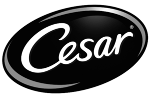 cesar+logo_BLK.png