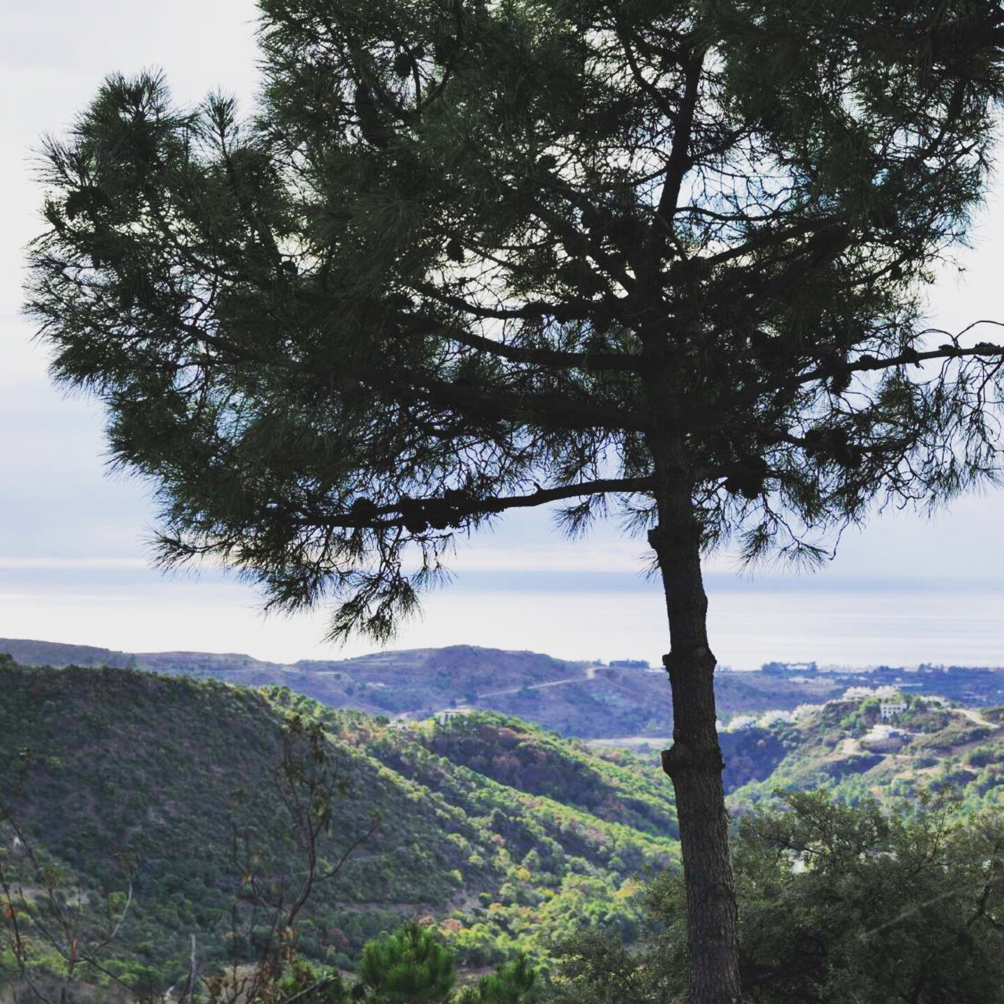 Villa F28 is getting build. Spectaculair views, terraces, shadow, patio's, green roof. Integrated into nature.

#vitaevillas