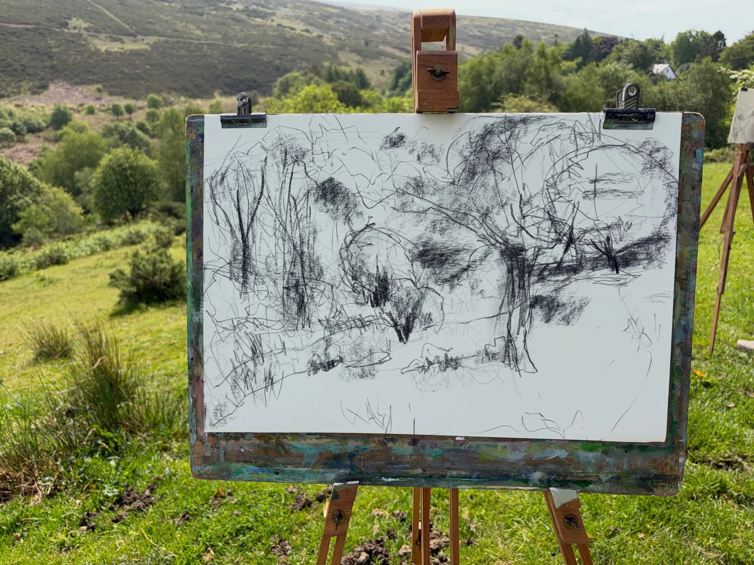 When we came to this beautiful place last year the trees were still early in leaf and so we could see much more of the &lsquo;skeleton&rsquo; of them. This year the trees are in full leaf making lovely soft pillowy shapes. 

In this piece I&rsquo;m c