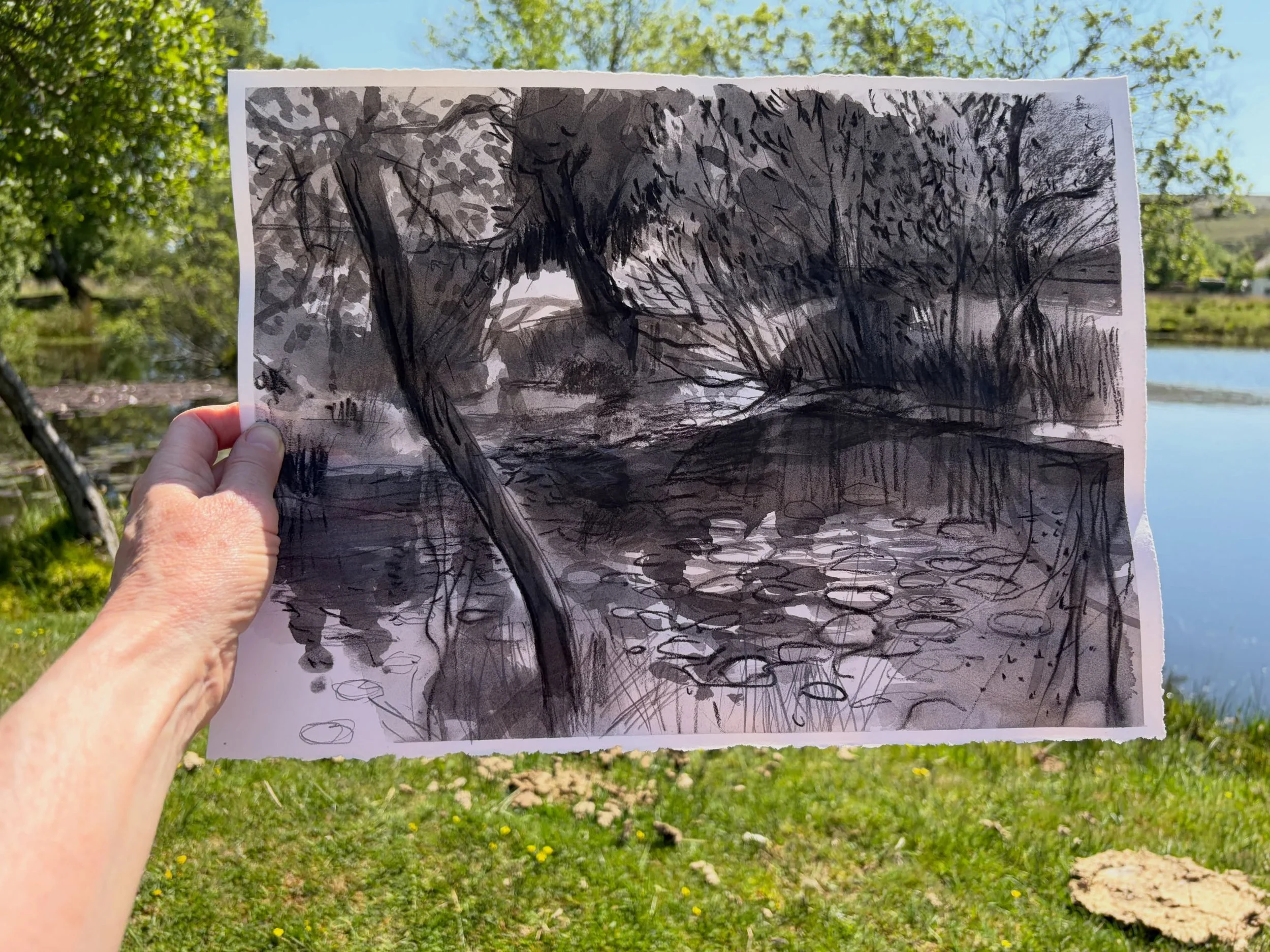 Down by the pond. An &lsquo;ink&rsquo; and carbon pencil drawing - nice and watery in case you need visually cooling down in this heat.

I left behind most of my drawing materials in London - by mistake! - so have made a version of ink using watered 