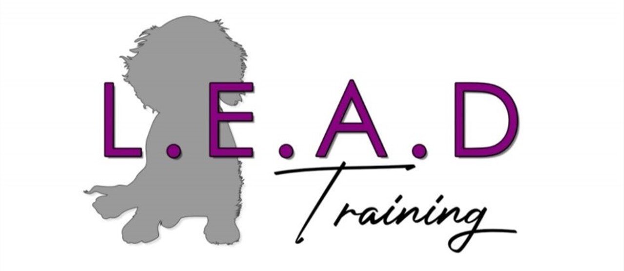 L.E.A.D Training