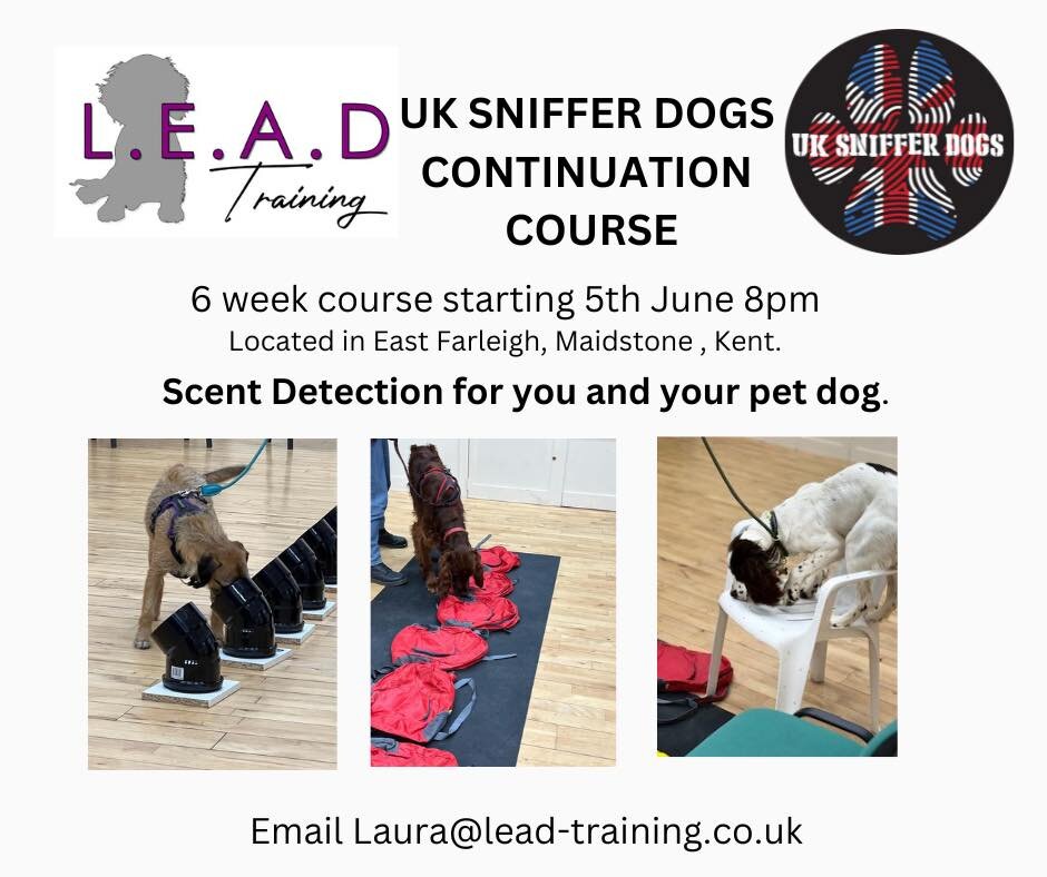 🥳 New course starting.

🐾 Would you like to spend some more time with your dog?

These scent courses are a great way to improve the bond between you and your dog.

This course is for anyone whom has completed the Bronze course.