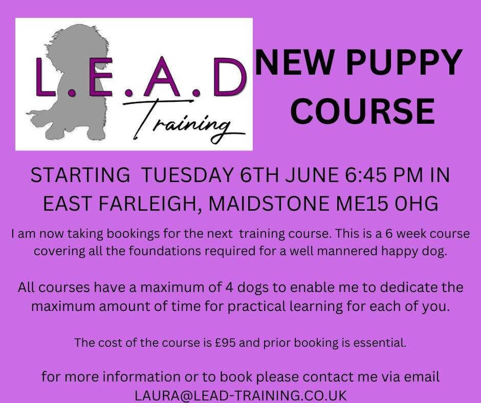 🌟 Does your Dog pull on the lead?

🌟 Does your dog pick everything up?

🌟 Are you worried about letting your dog off the lead?

I would love to be able to help. 🐾

I have a new puppy course starting on the 6th June at 6:45pm.

For more informatio