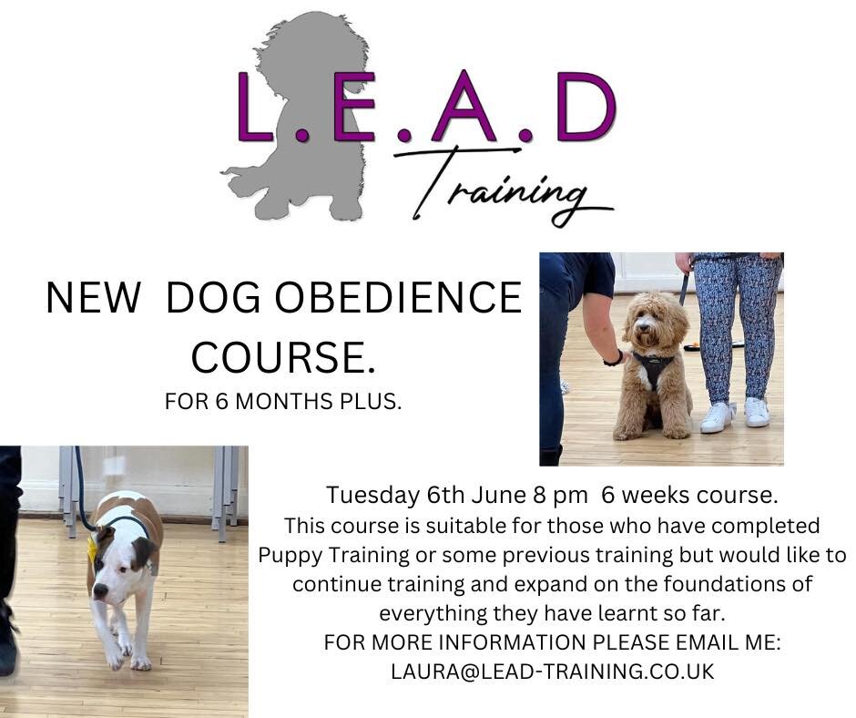 🌟has your dog got to six months plus and you need some help?

🌟would you like to perfect your loose lead walking and recall?

🌟would you like to take your training to the next level and learn some basic obedience?

New course starting 6th June for