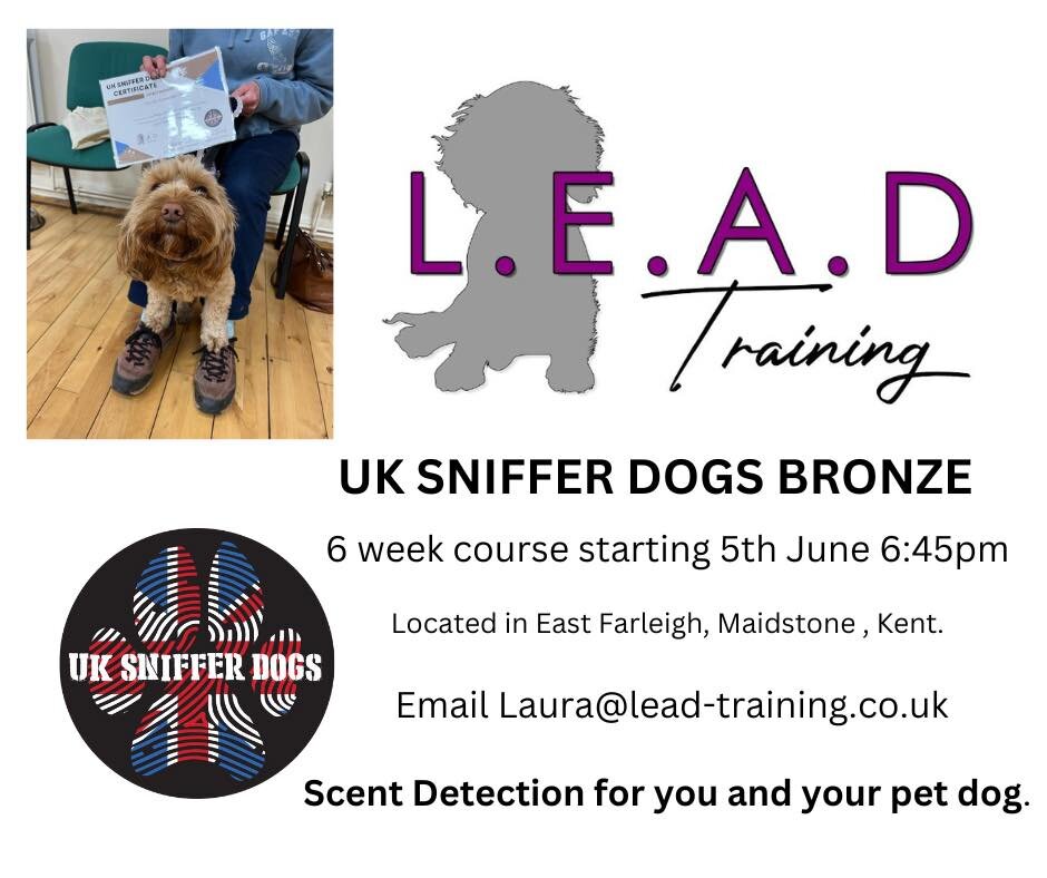 🌟New Course

I Would love you to join me on this six week course introducing the world of scent work via the largely known UK Sniffer Dogs methods.

Scent work is a fantastic way of building the bond between you and your dog.

Sniffing for a dog is 