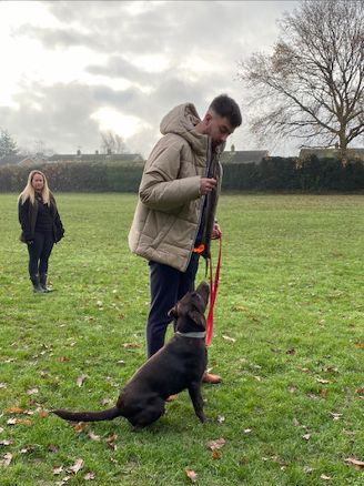 dog training bearsted kent