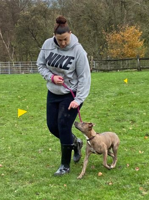 lead training puppy training maidstone kent