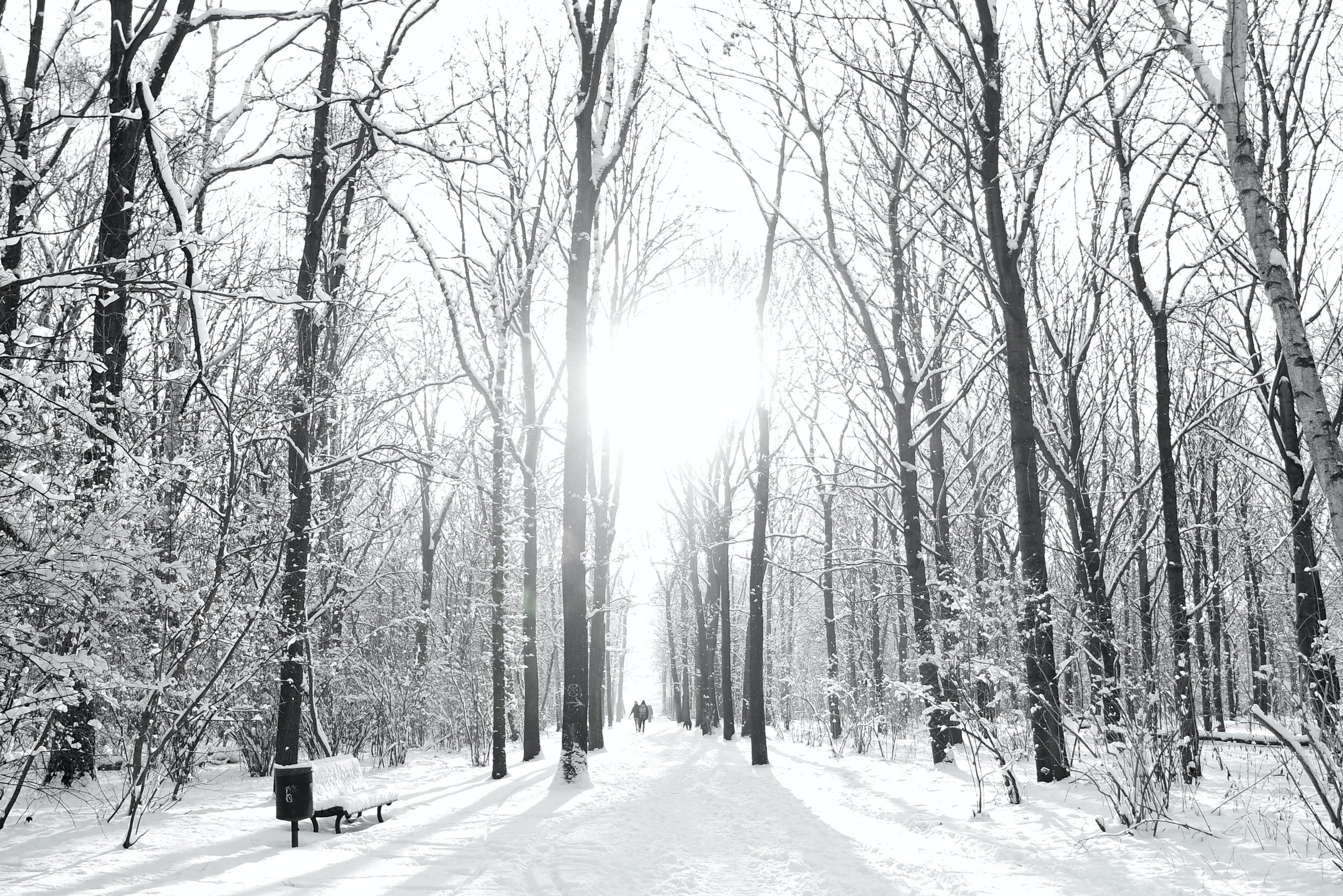 Why I became a life coach