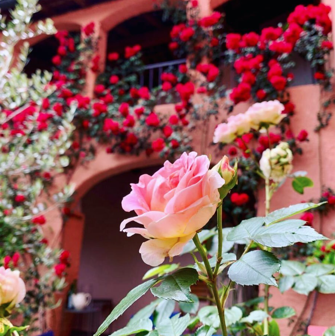 Screenshot 2021-03-23 at 10.56.29.png