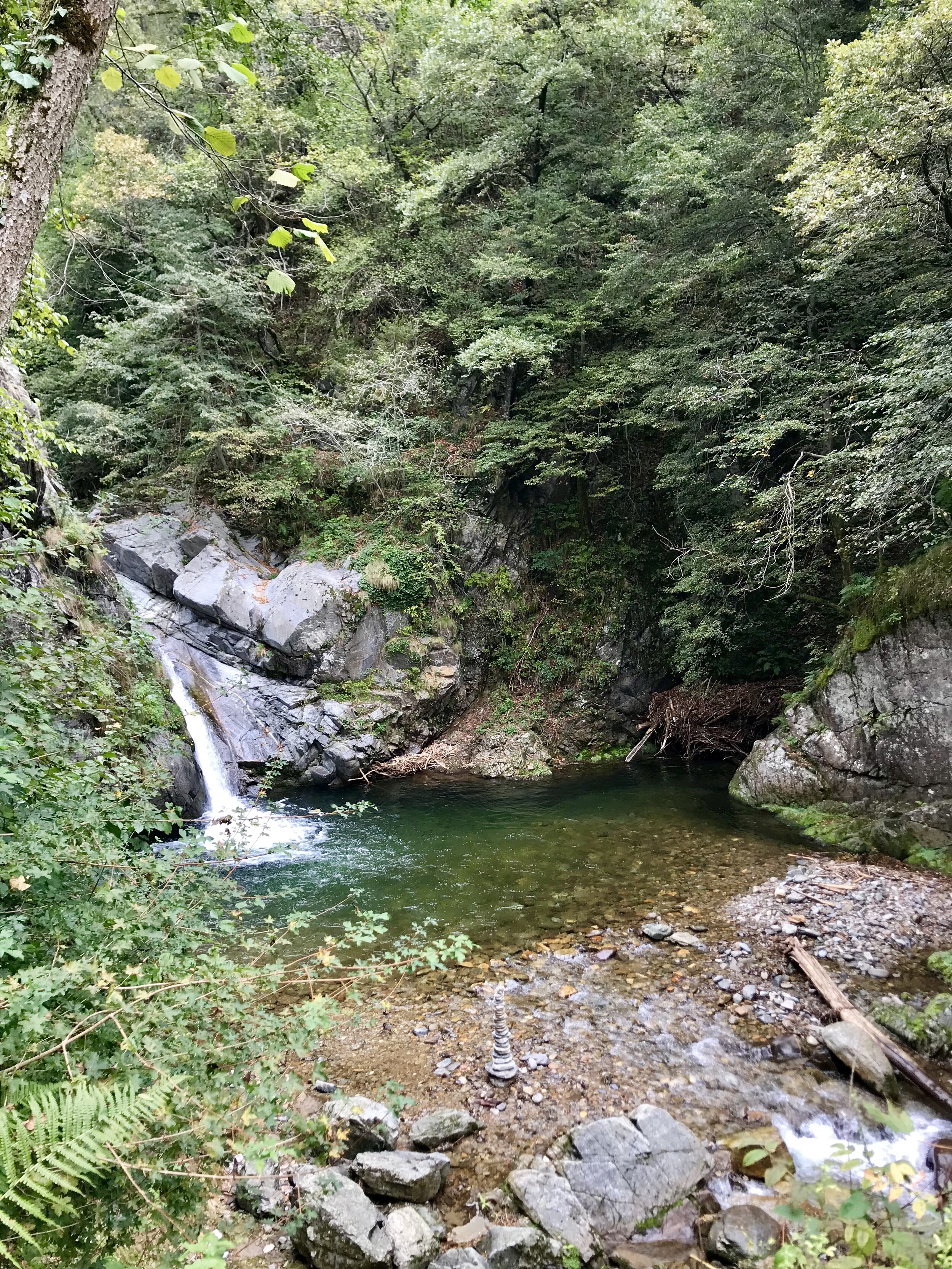 IMG_0580.jpg