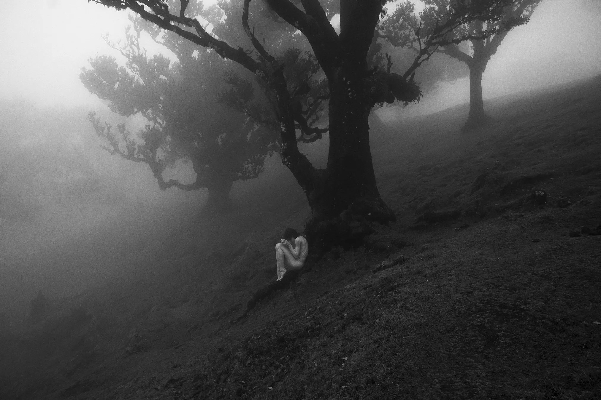 MADEIRA-RPIIL020-web.jpg