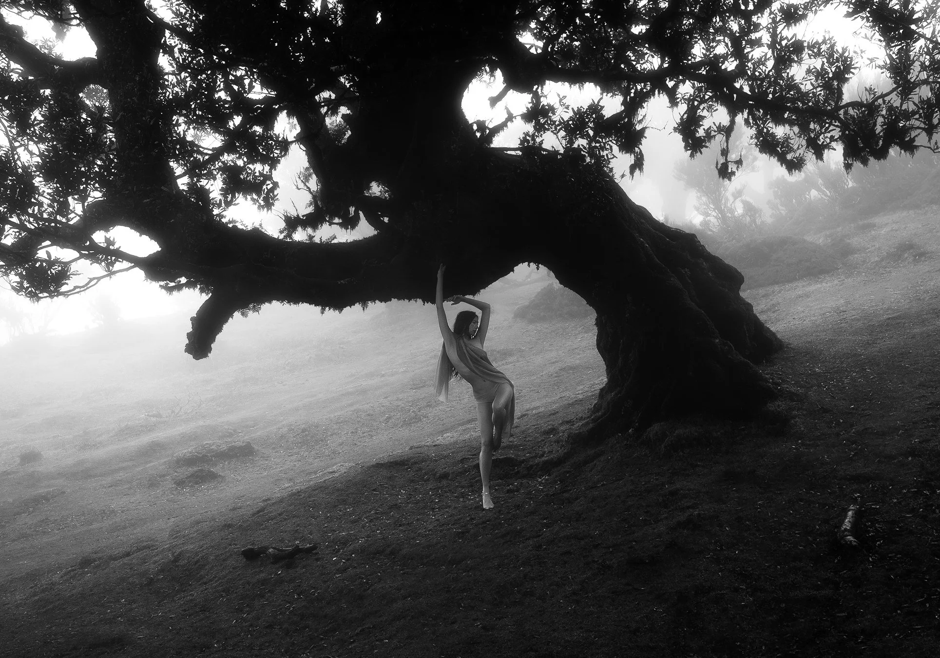 MADEIRA-RPIIL055BW-web.jpg