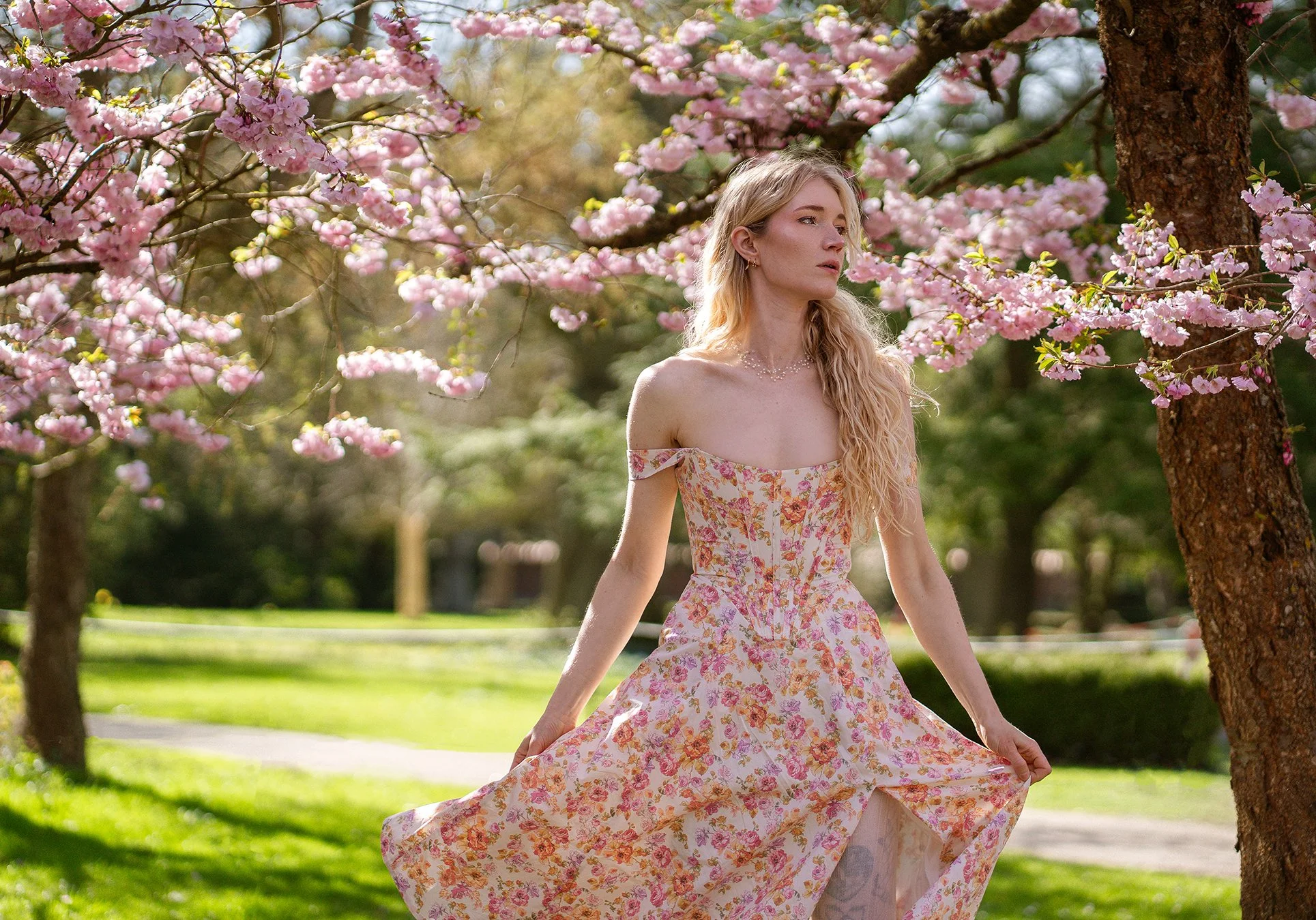 Cherry Blossom