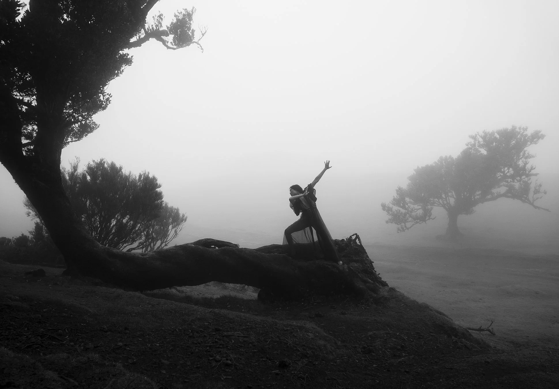MADEIRA-RPIIL062-web.jpg