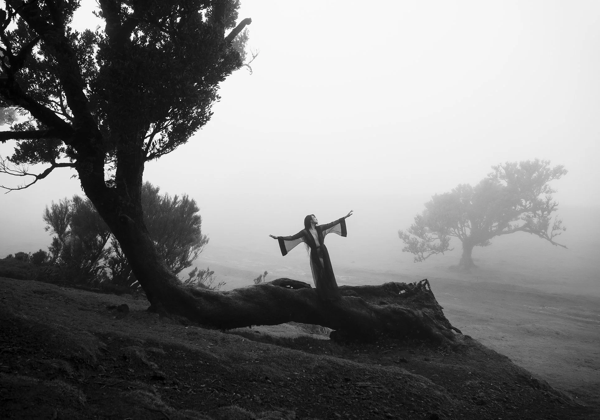 MADEIRA-RPIIL060-web.jpg