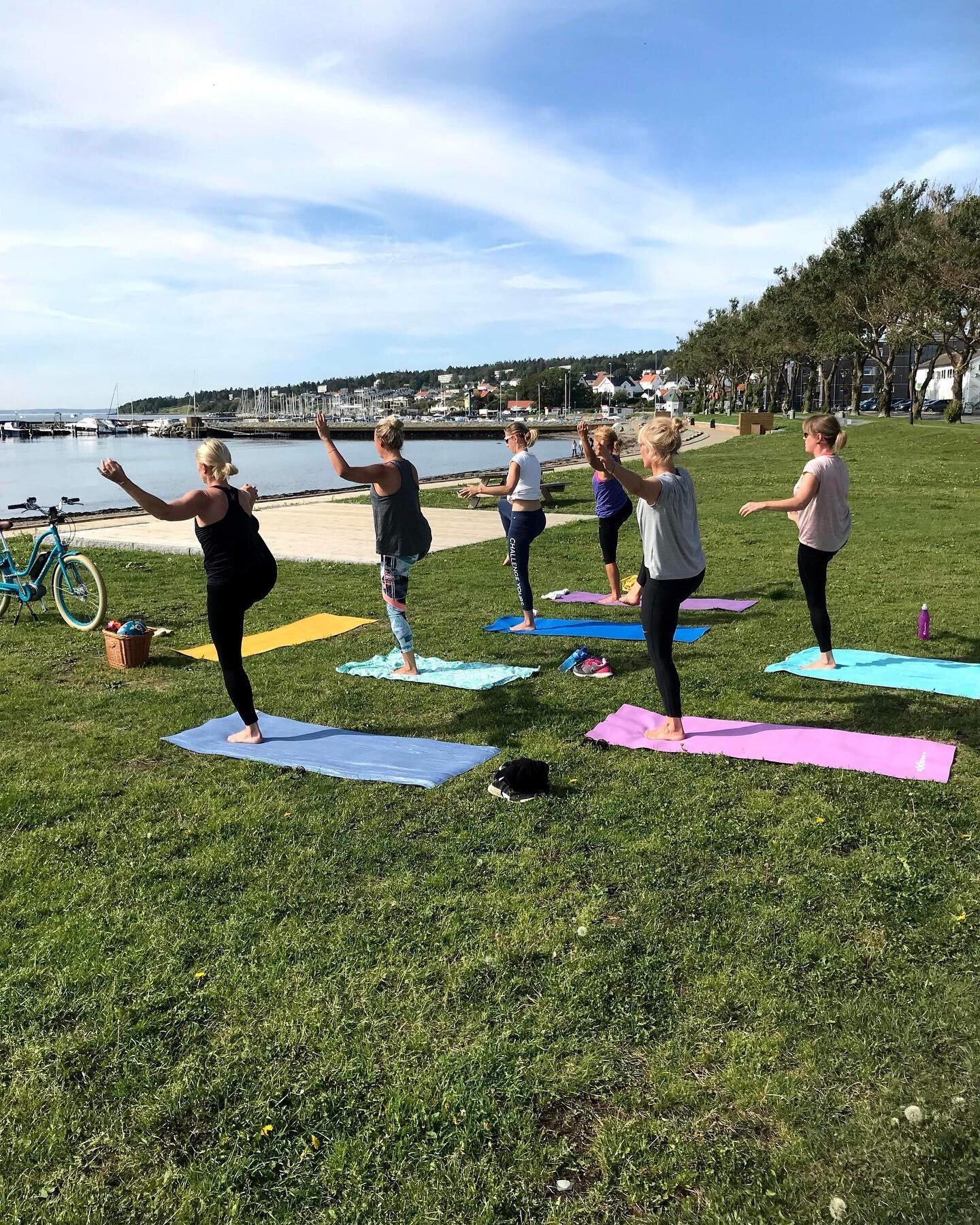 Det blir en myk start p&aring; Milj&oslash;festivalen med @yogymoss 60 minutter harmonisk Hatha Yoga i Parken s&oslash;ndag 28. august kl 10:30-11:30. Velkommen 🍀

Hatha Yoga kalles ogs&aring; for den klassiske yogaen. De fysiske stillingene/asanas 