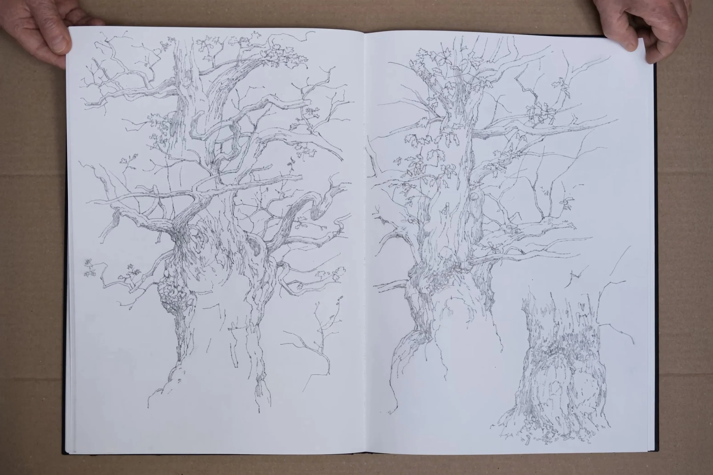 Sketches