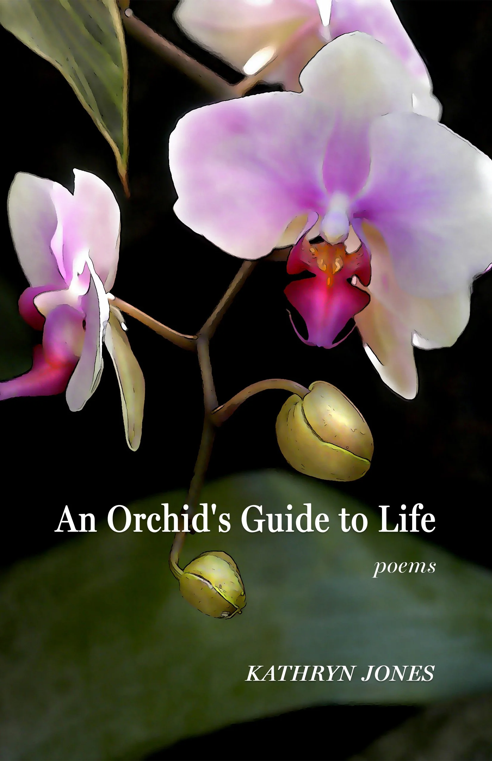 An Orchid's Guide to Life by Kathryn Jones