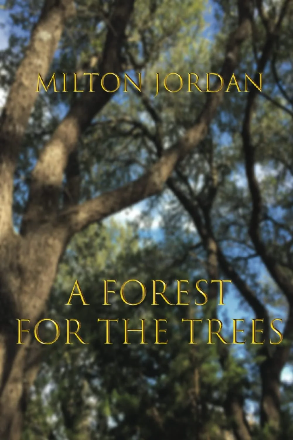 A Forest for the Trees by Milton Jordan