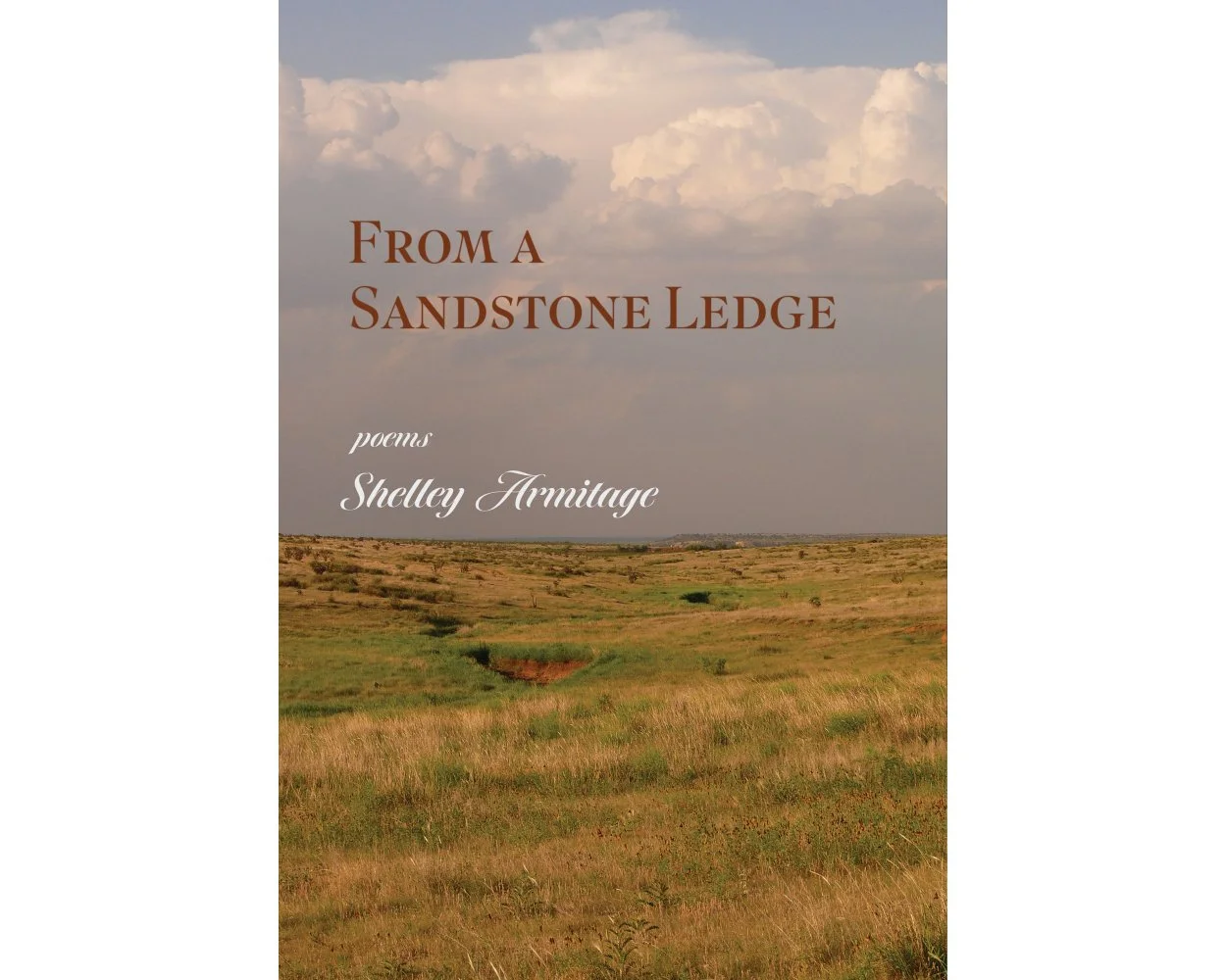From a Sandstone Ledge by Shelley Armitage