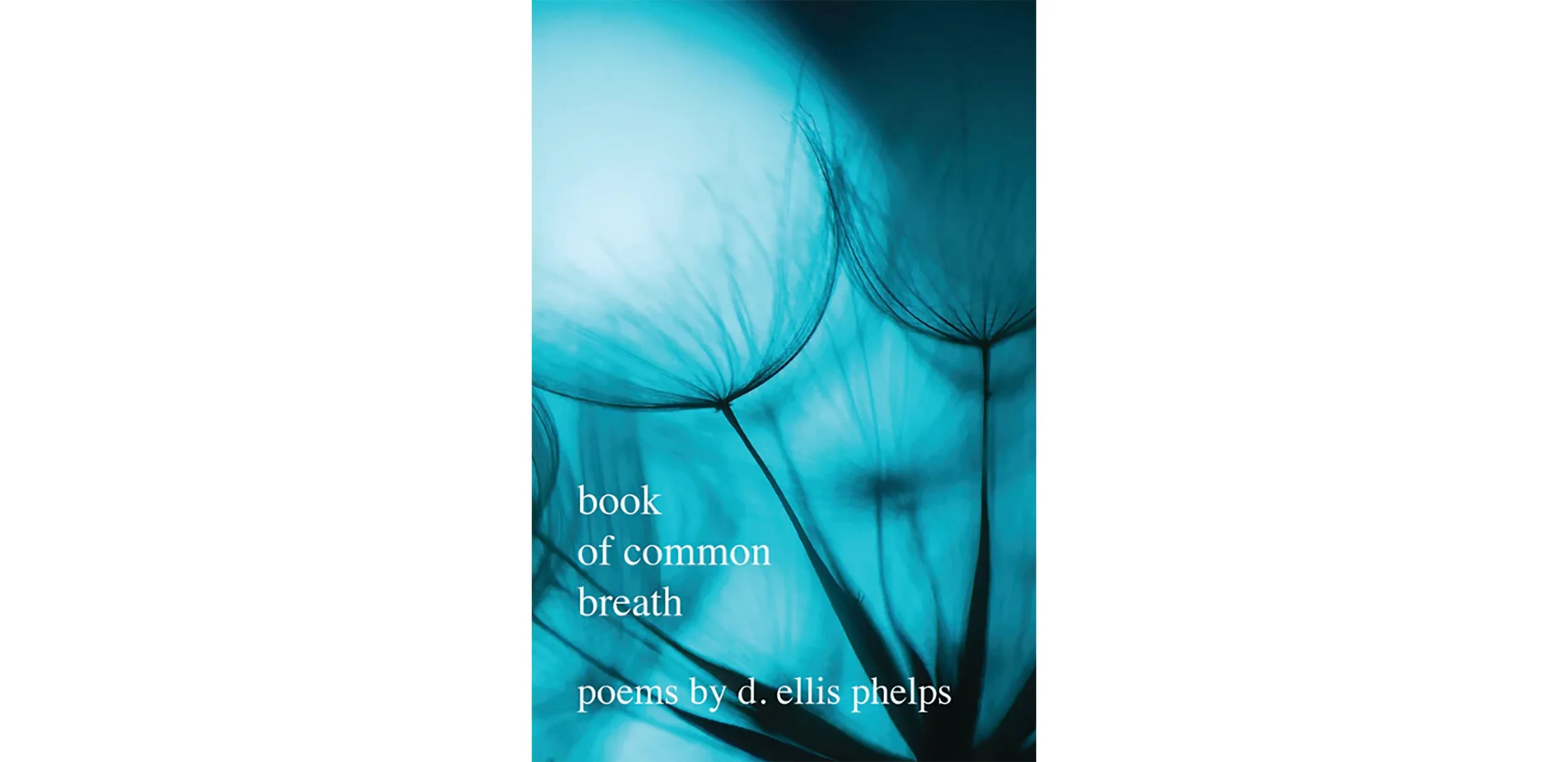 Book of Common Breath by d ellis phelps.jpg