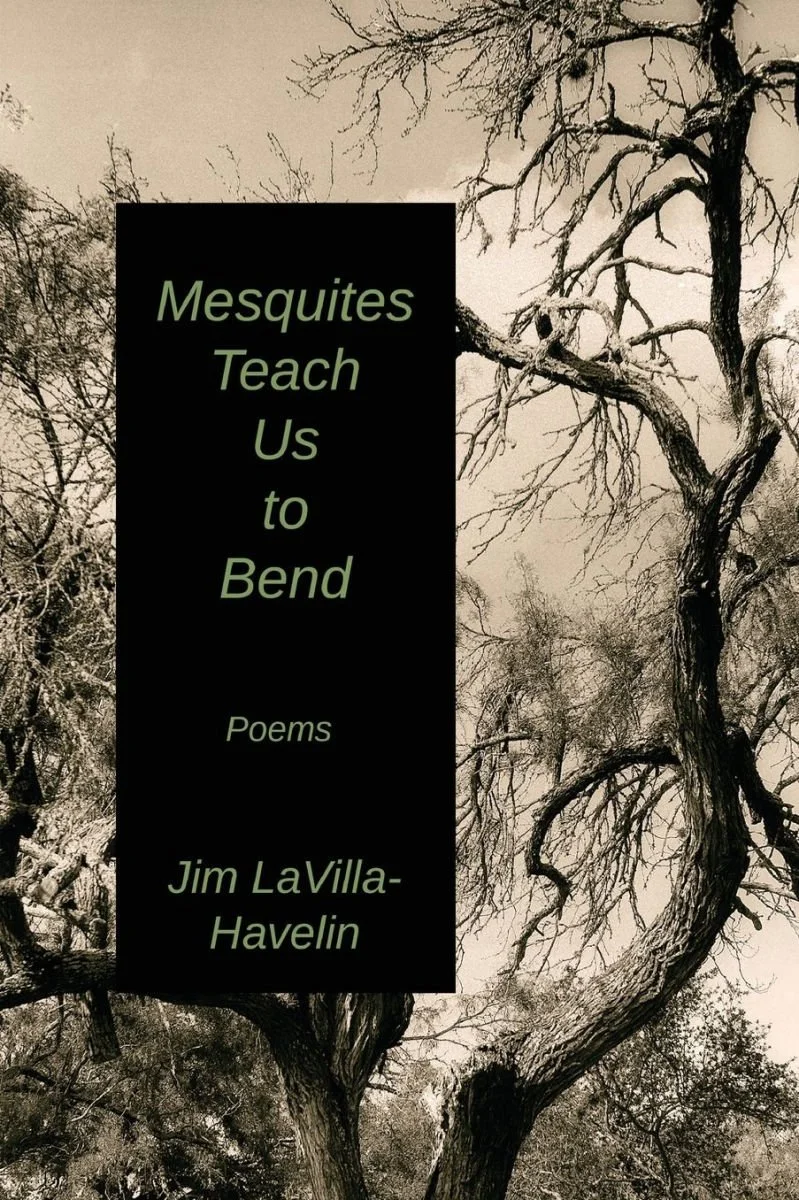 Mesquites Teach Us to Bend by Jim LaVilla-Havelin