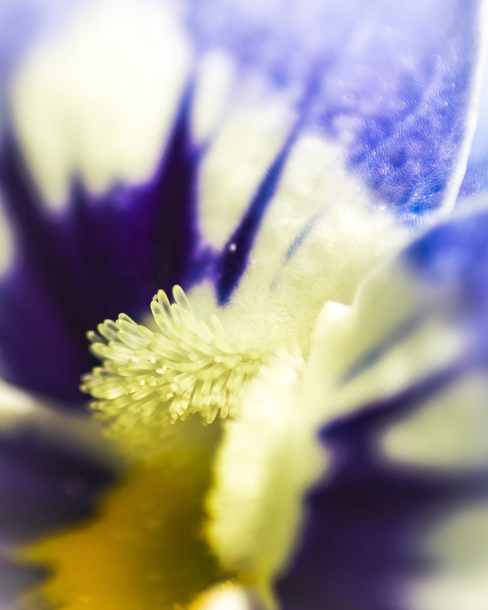 IMG_8387-Enhanced-NR.jpg