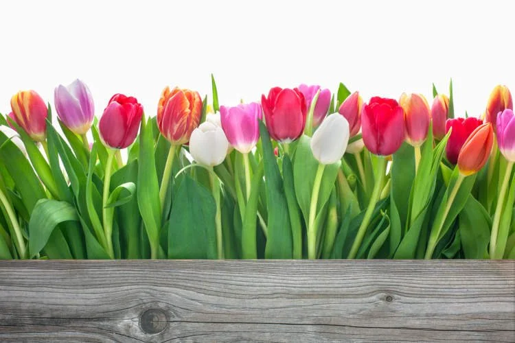 May is full of promise
