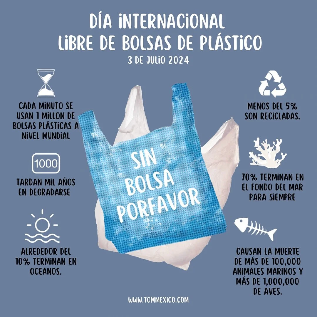 D&iacute;a Internacional Libre de Bolsas de Pl&aacute;stico. 

&iexcl;Cada vez que vayas al s&uacute;per u otra tienda lleva tus propias bolsas ecol&oacute;gicas! 💚

Las bolsas de pl&aacute;stico de un solo uso causan un gran da&ntilde;o al medio am