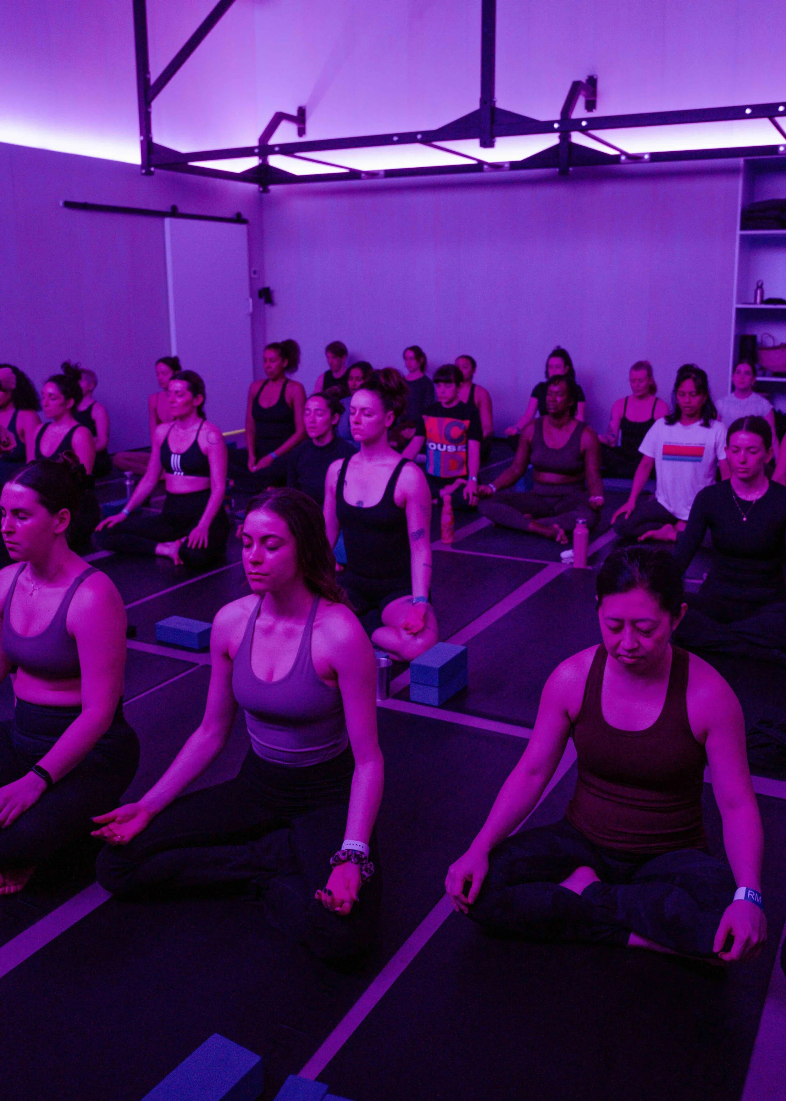 IWD x TRR (ligher).jpeg