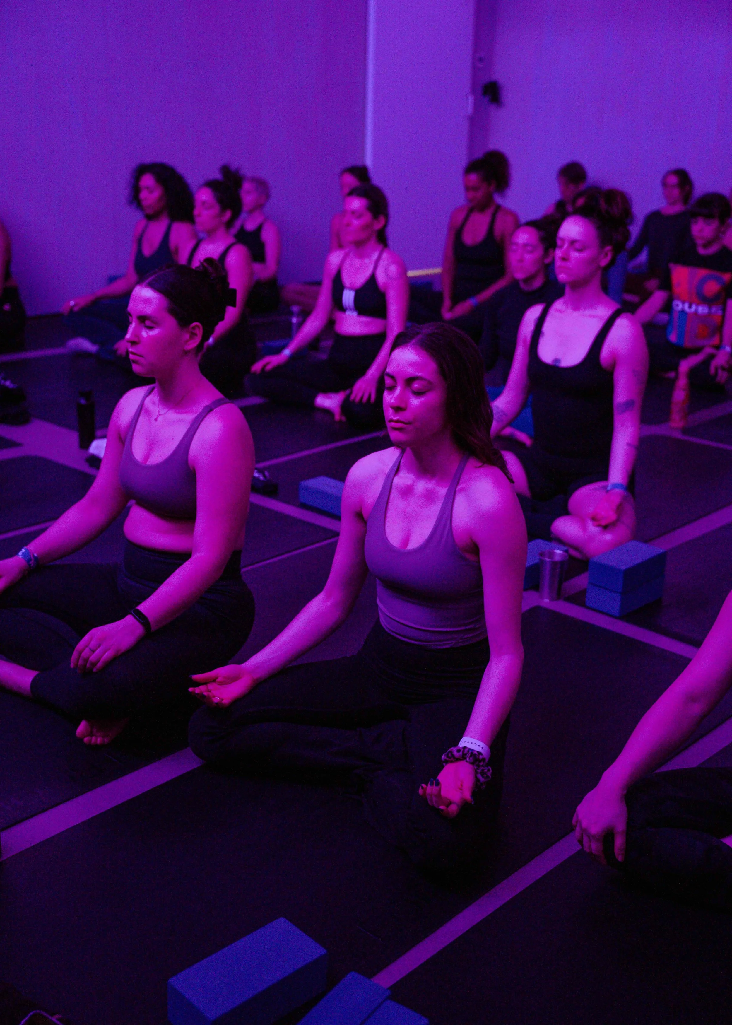 IWD x TRR (ligher)-2.jpeg