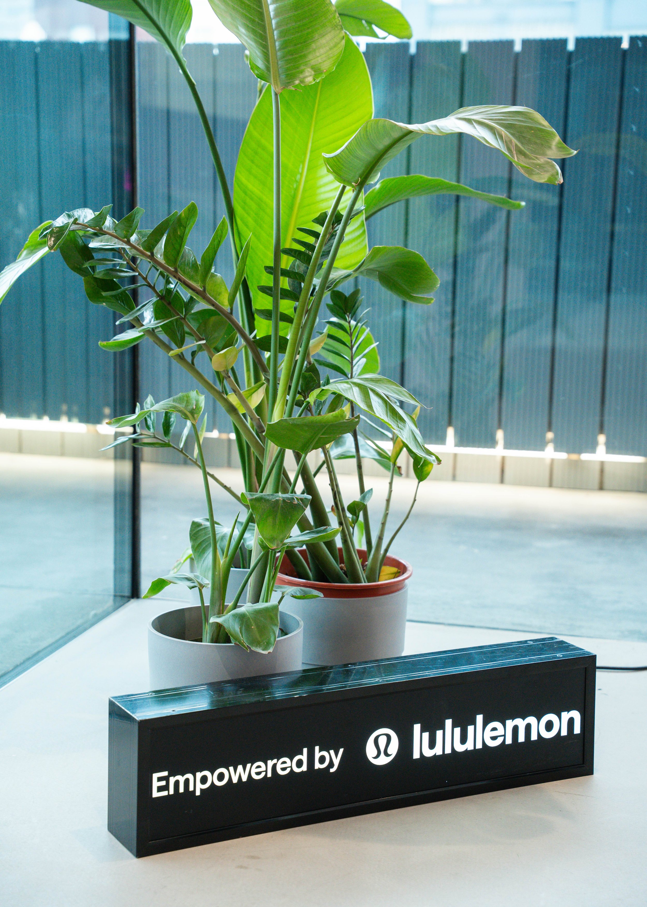 08.03.2026 - IWD x TRR - @ahlitzya-35.jpeg