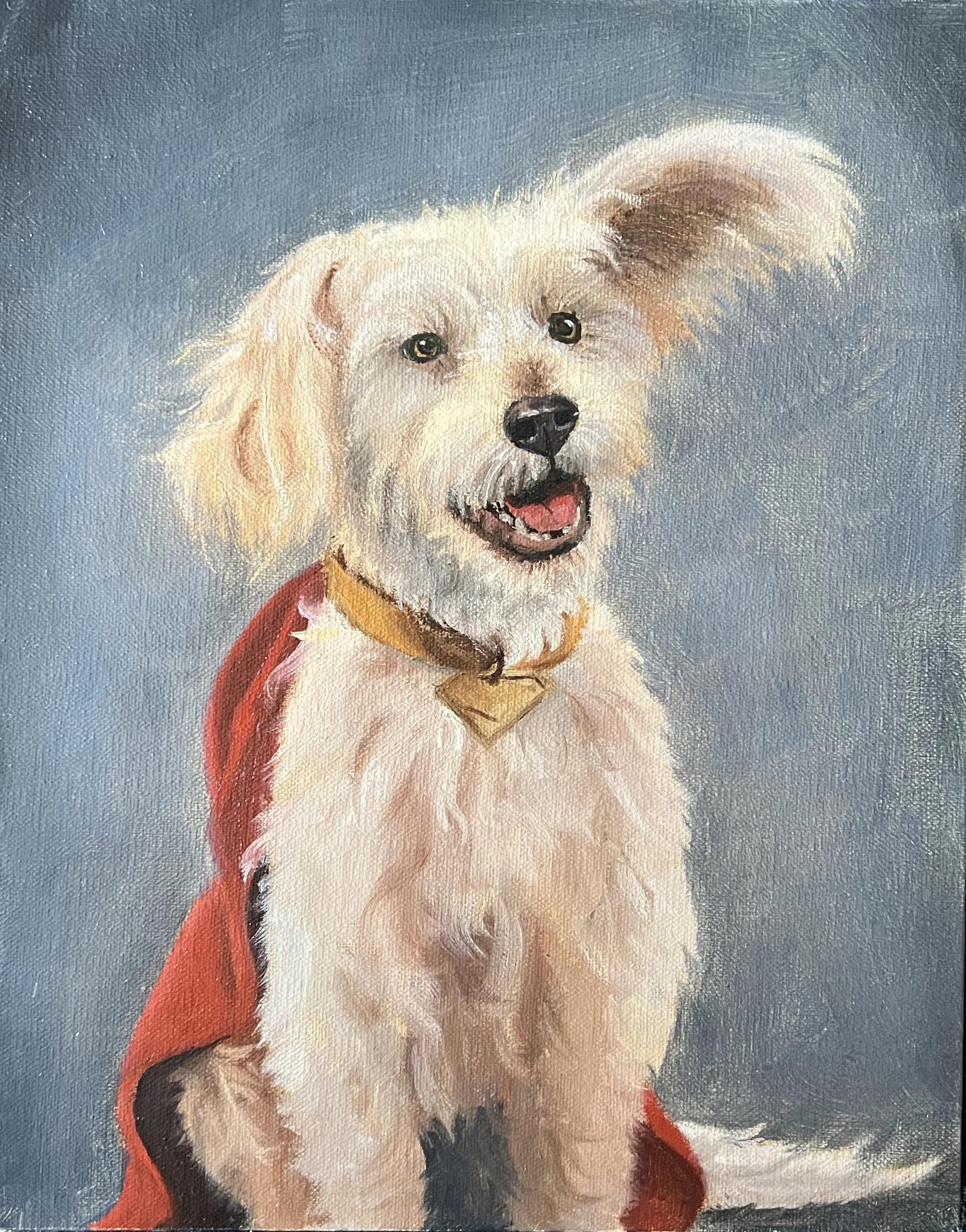 Limited edition "Krypto" print