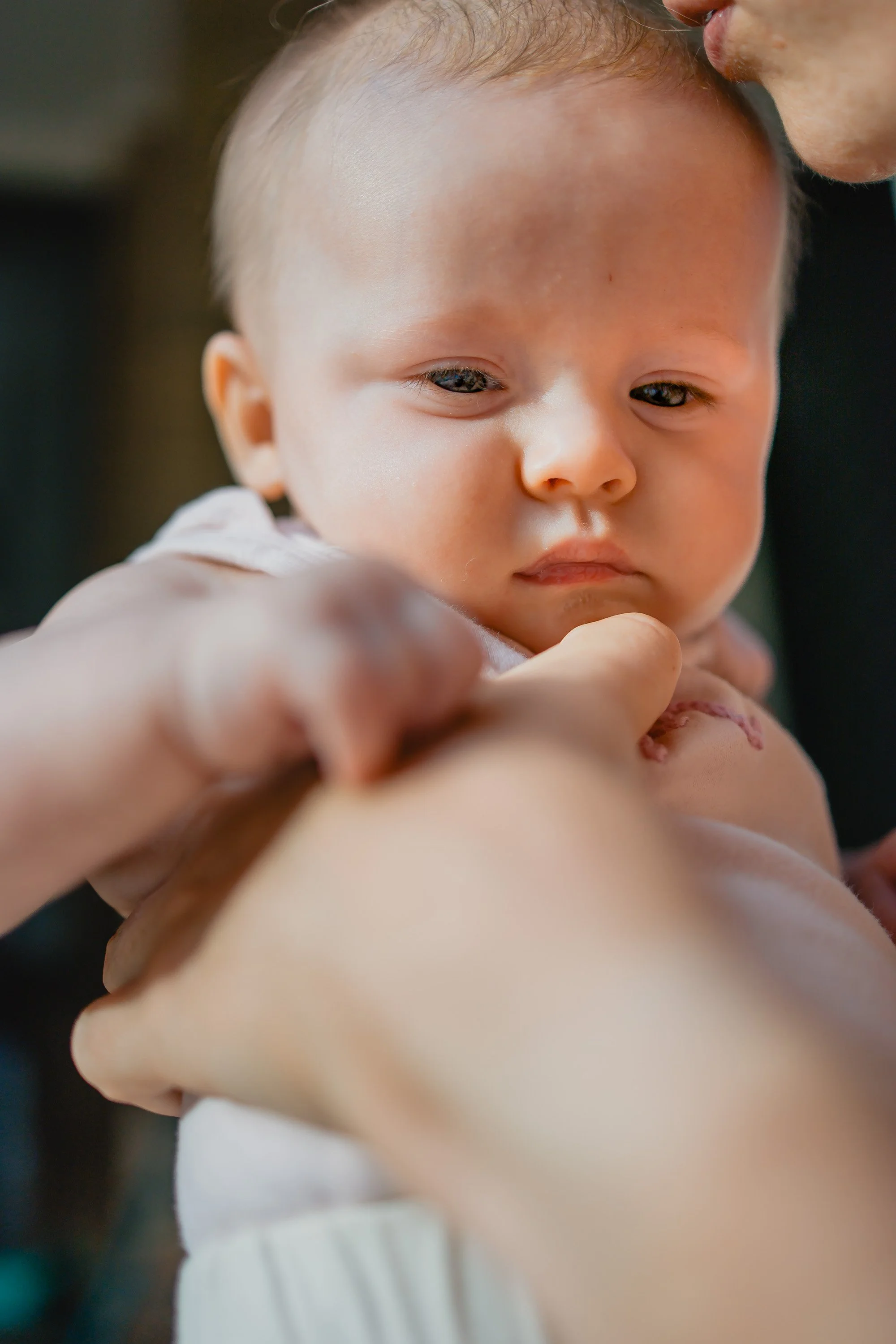 Kate Mary and Rosaline 2786.jpg