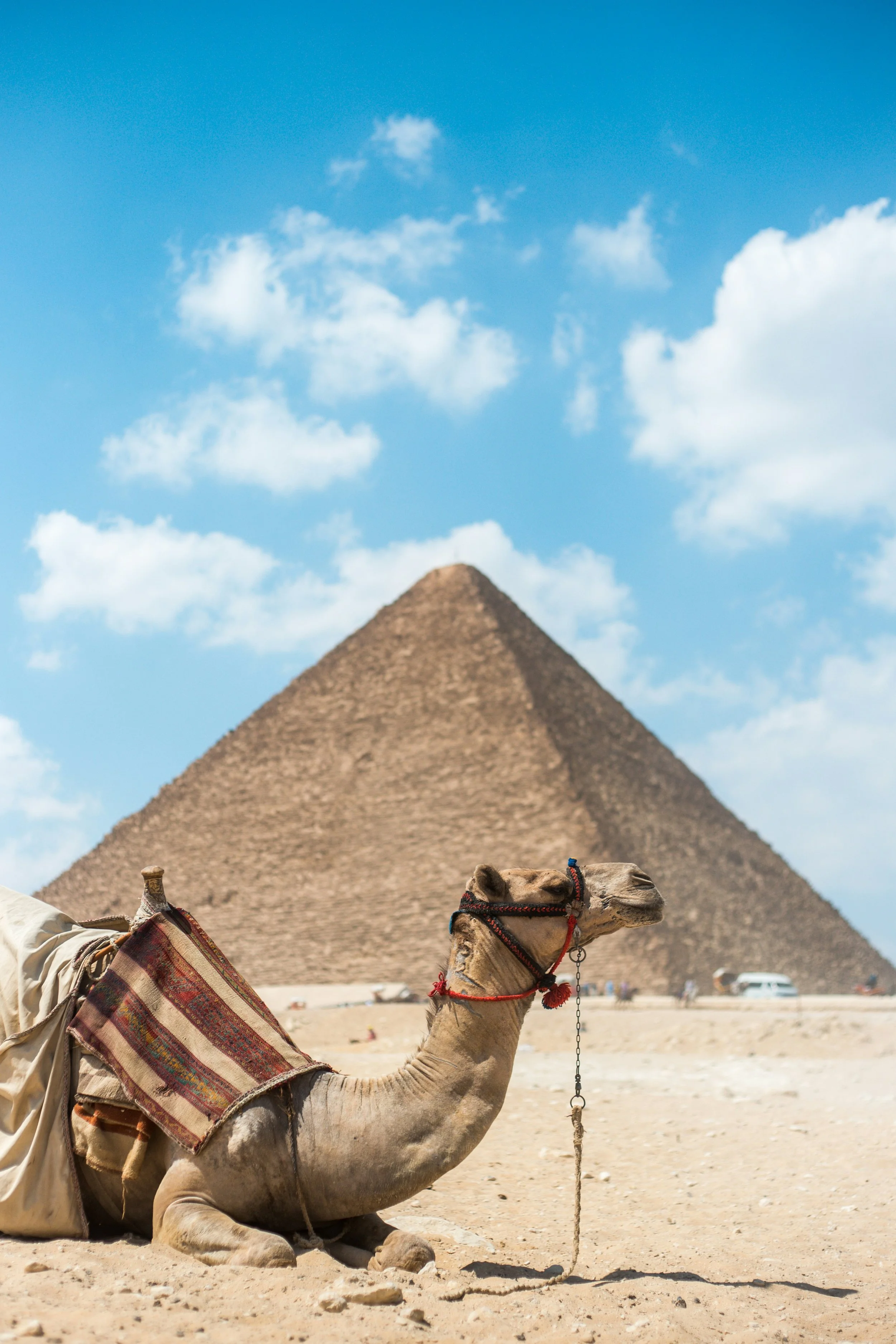Egypt and Cairo: The Pitch